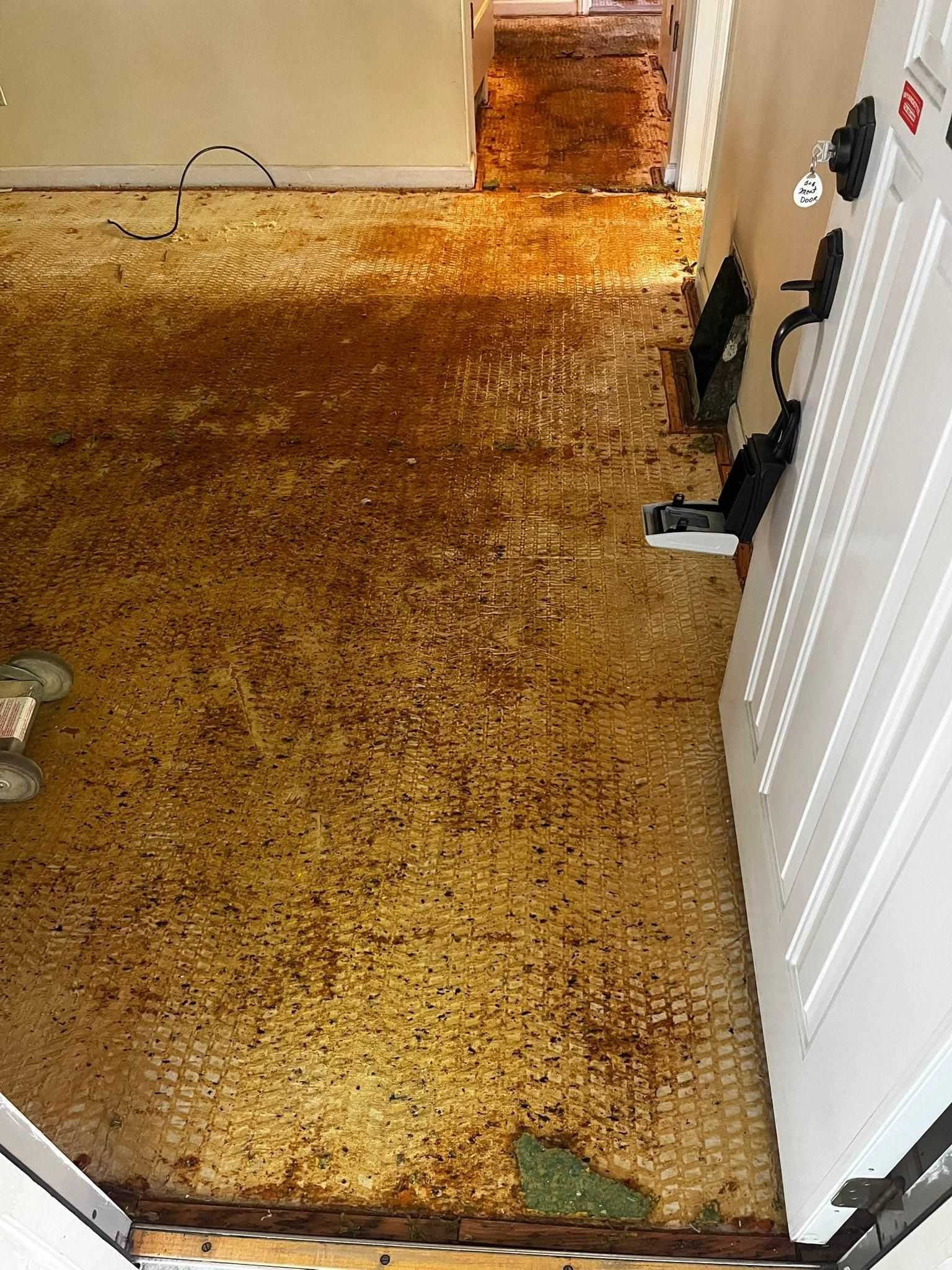 All Photos for Kozlowski’s Hardwood Floor Refinishing in Flat Rock, Michigan