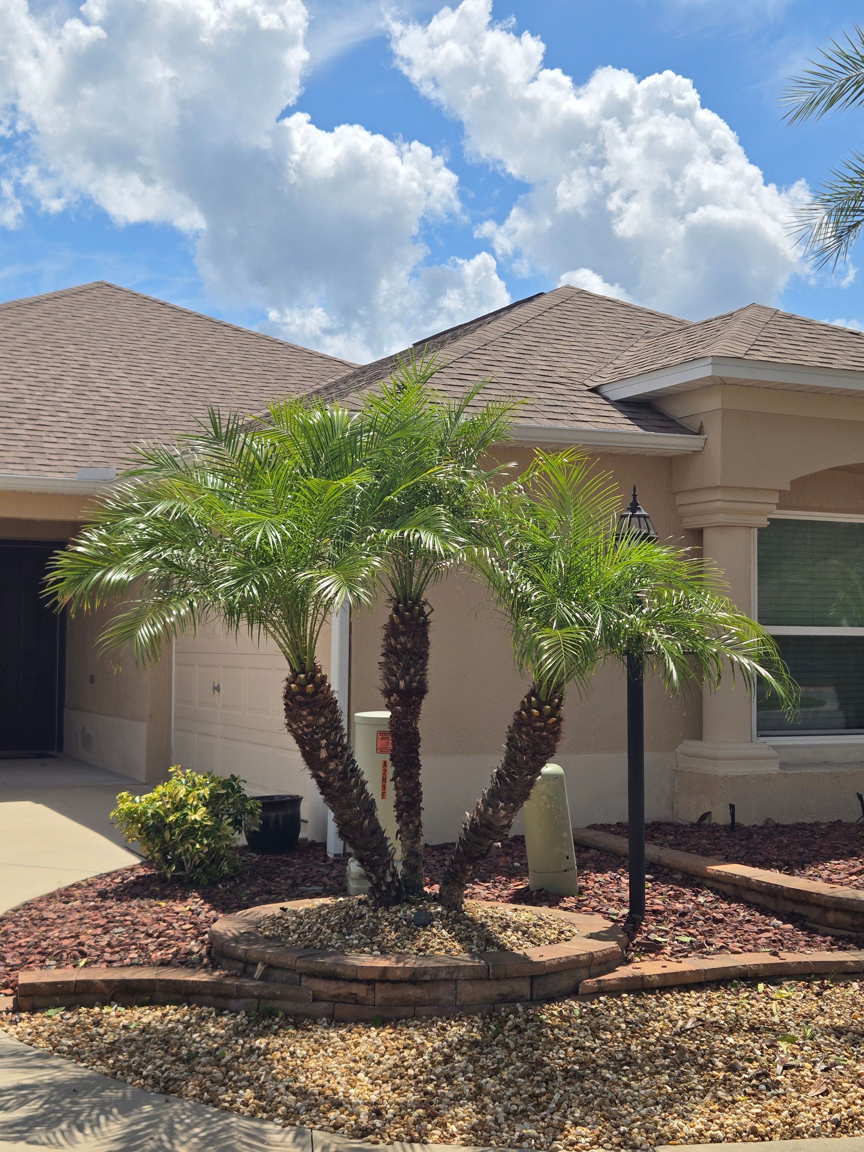  for TopNotch Landscaping Services  in The Villages, FL