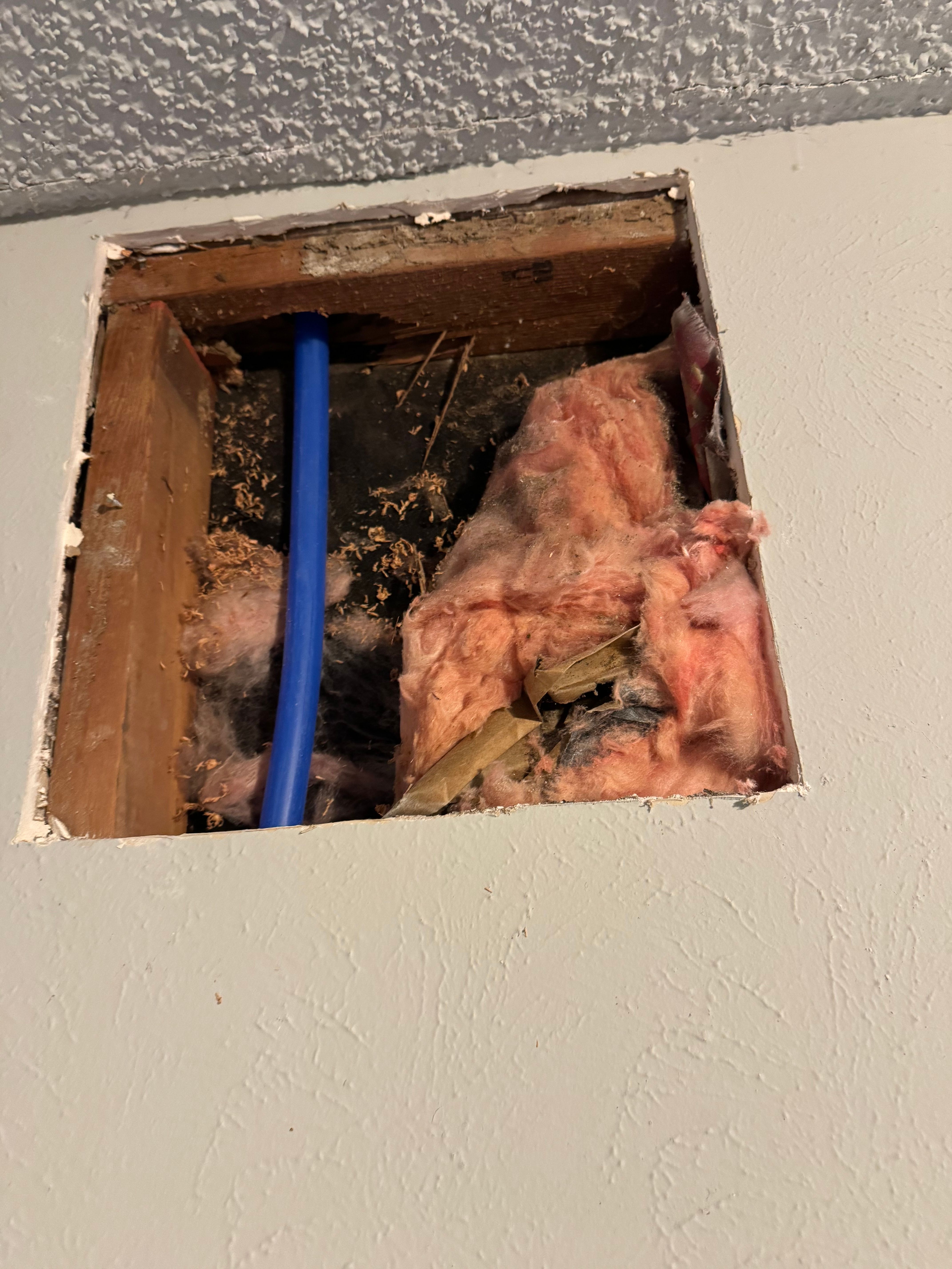  for HDZ Integrity Plumbing LLC in Forney, TX