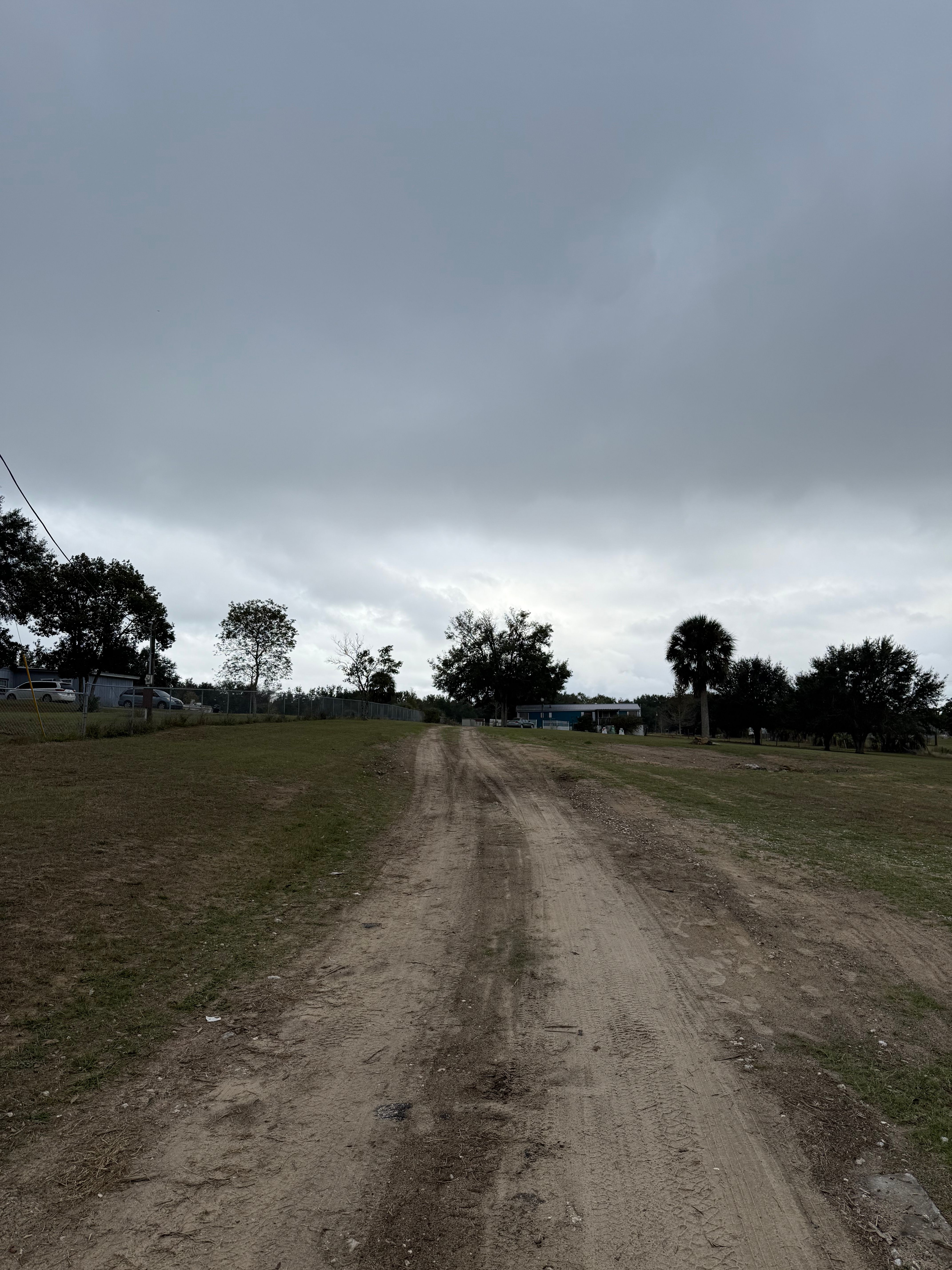  for Amerigrown Tree And Lawn in Apopka, FL