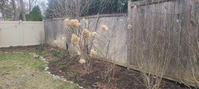 All Photos for Fence Medic in Arlington Heights, IL