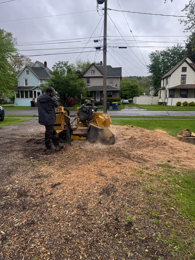 Stump grinding  for Licensed to Cut Tree Service in Athens, PA