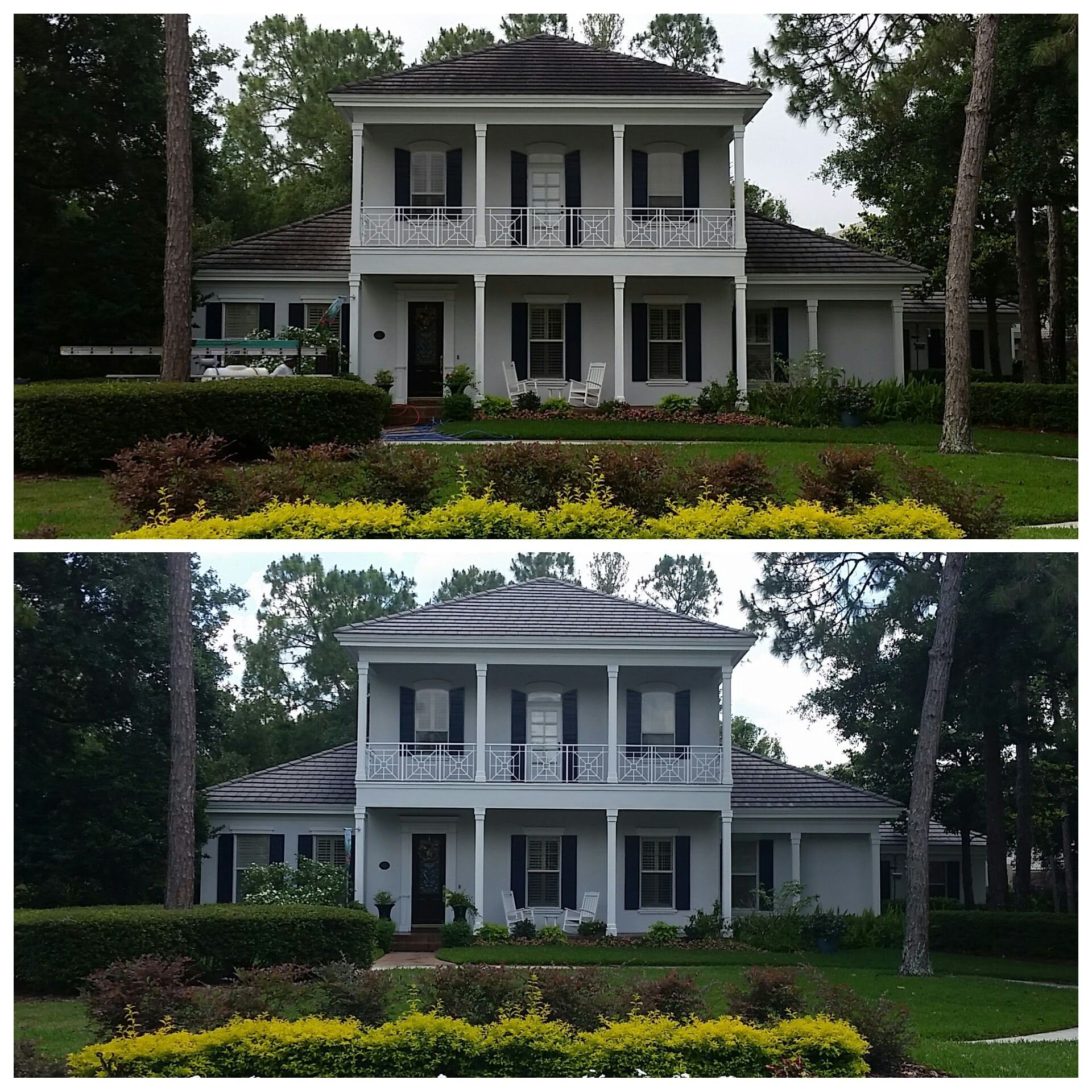  for Blue Stream Roof Cleaning & Pressure Washing in Tampa, FL