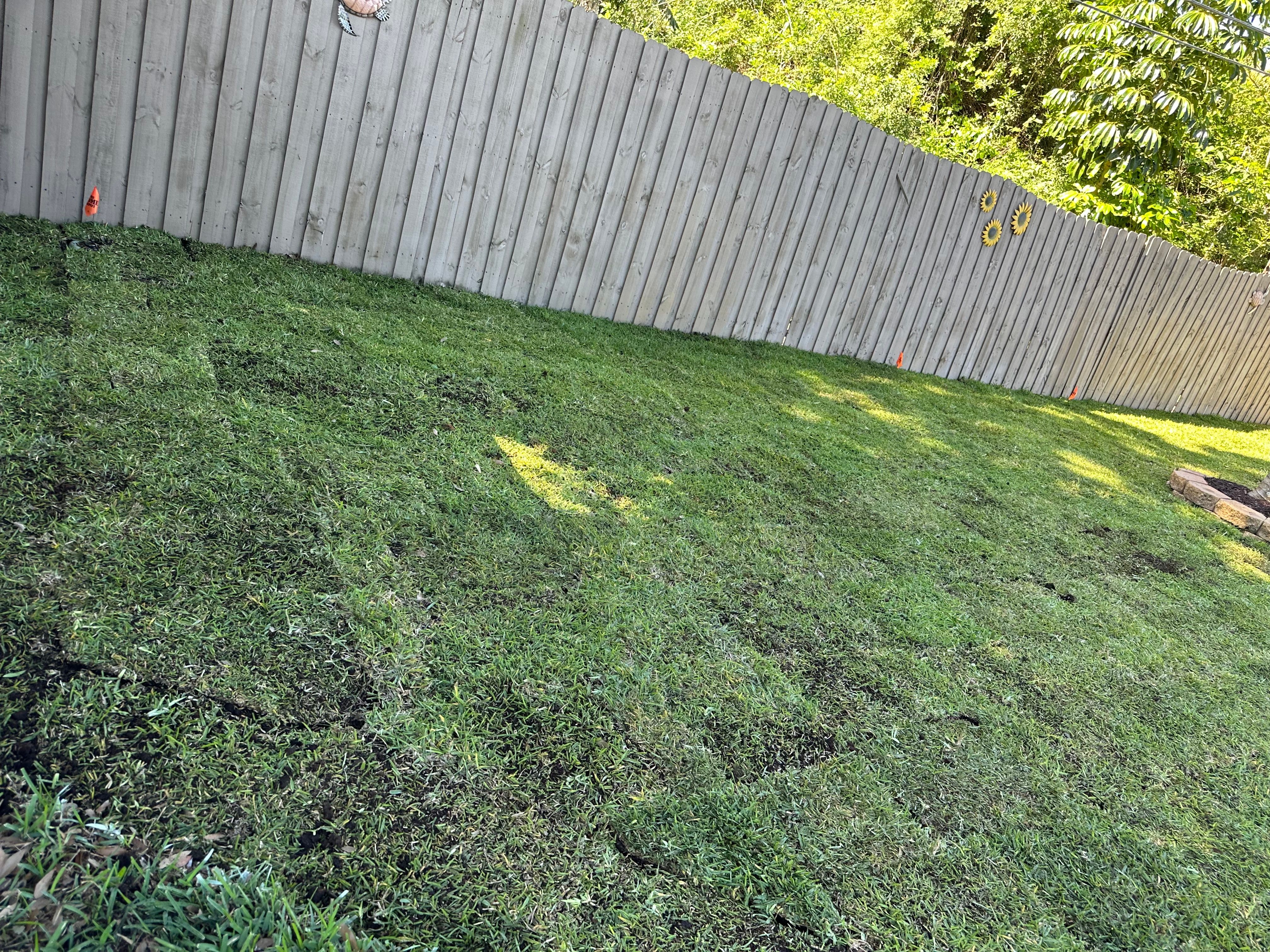  for Gulf Bay Sod in Clearwater, FL