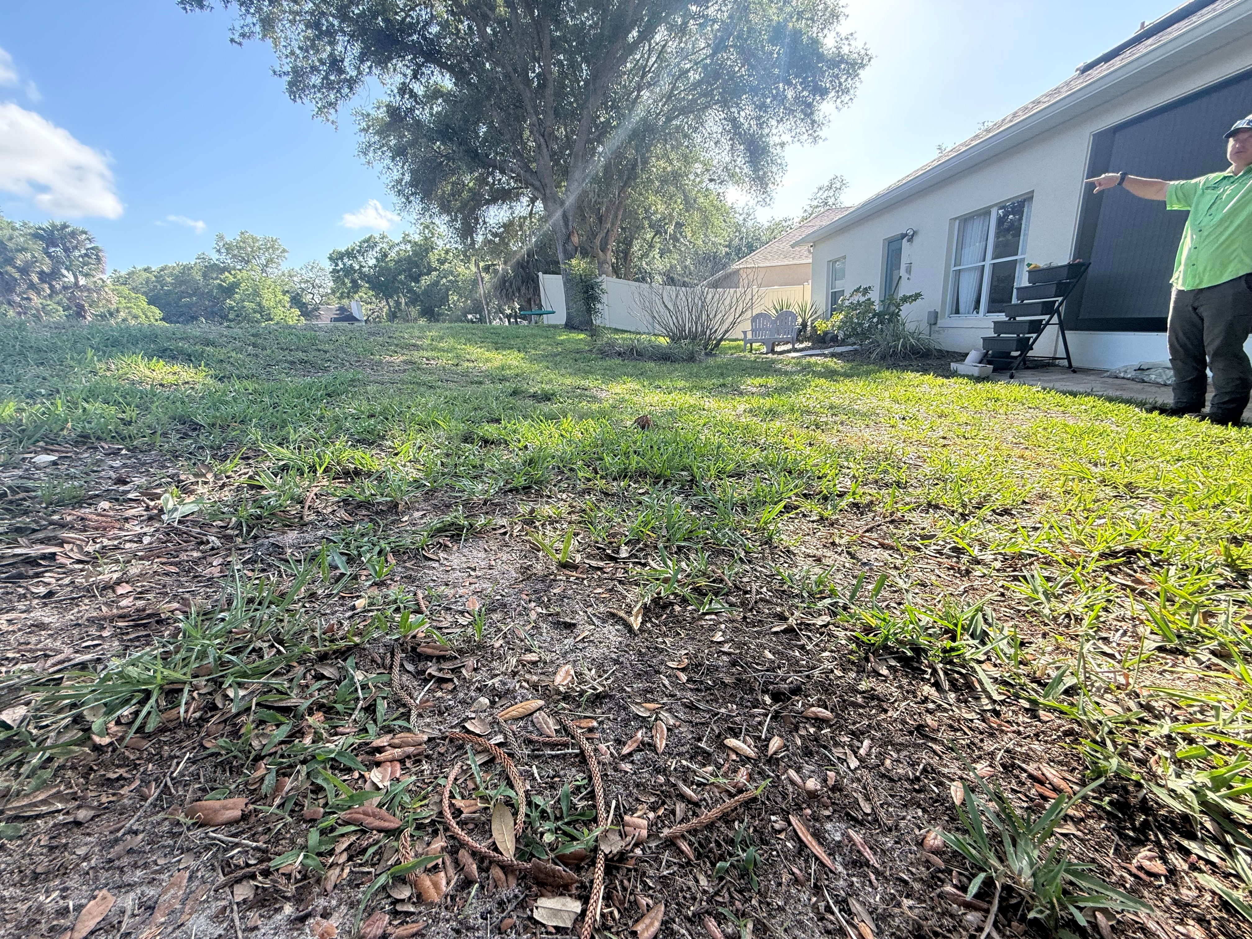  for Amerigrown Tree And Lawn in Apopka, FL