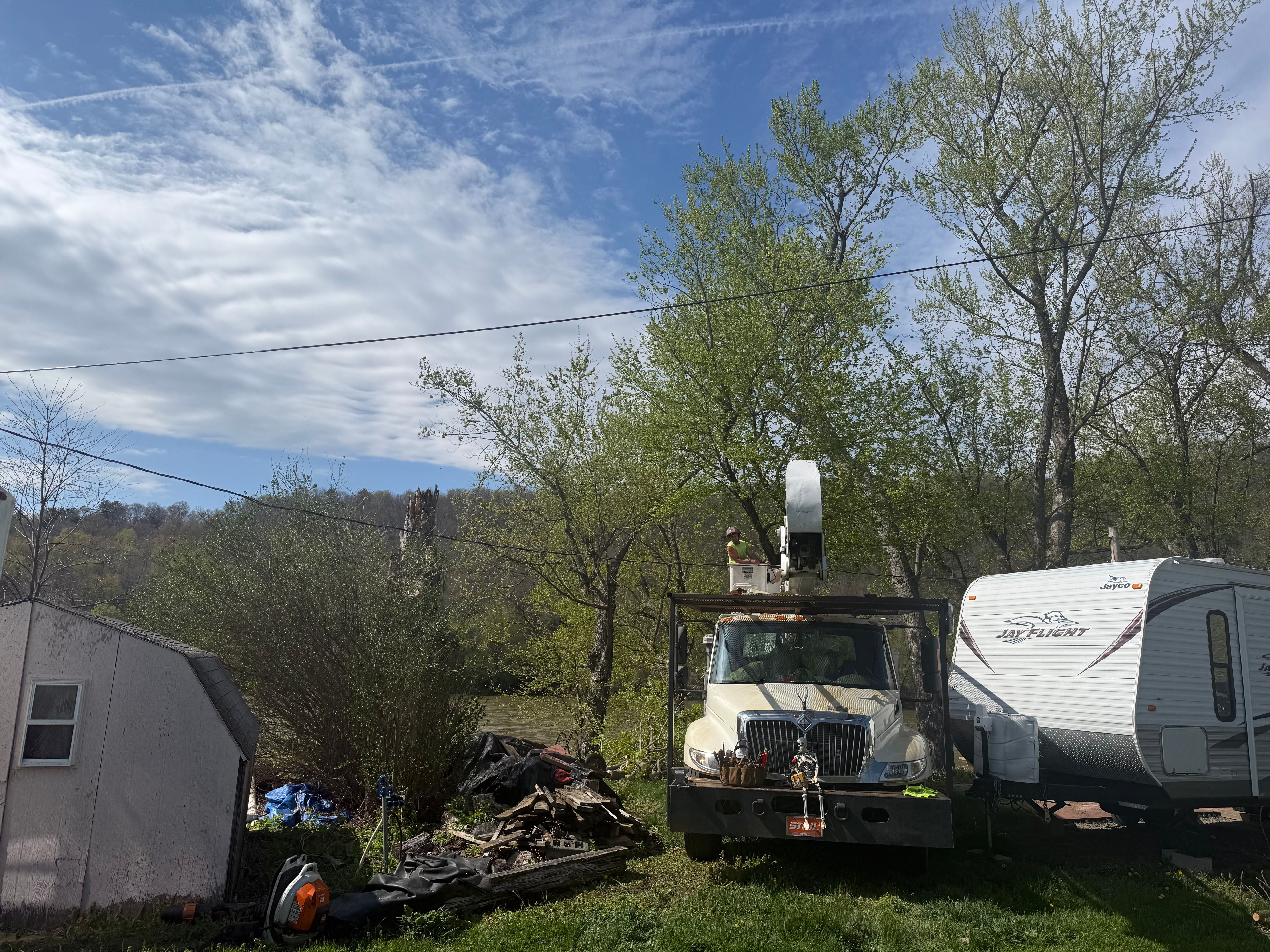  for All American Tree Services LLC in Back Mountain, PA
