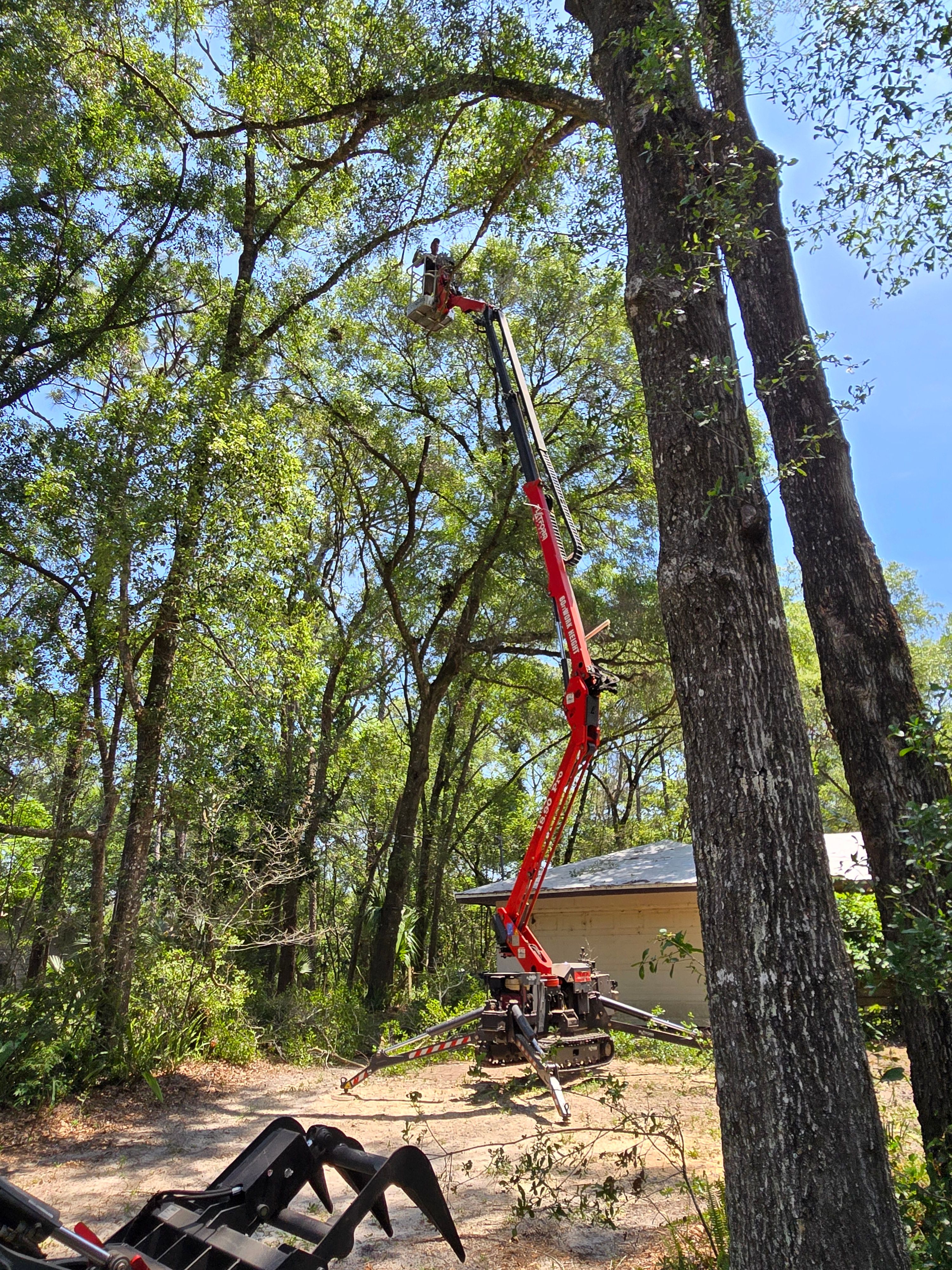 All Photos for Near Me Tree Service, Inc. in DeLand, FL