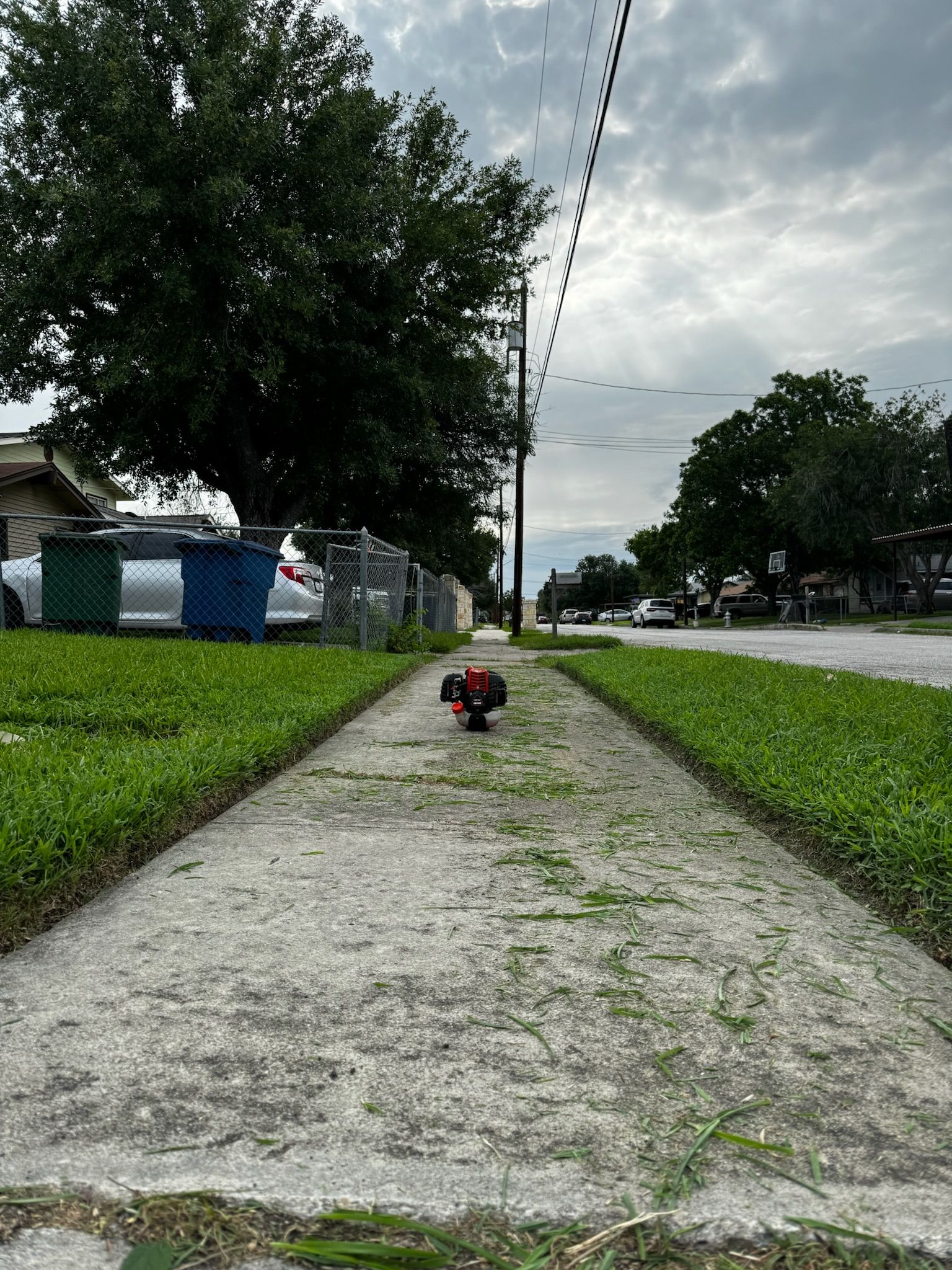 Lawn & Landscaping for Exellent lawn services in San Antonio, TX