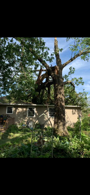 All Photos for Allstate Tree Service and Crane in Spring Lake Park, MN