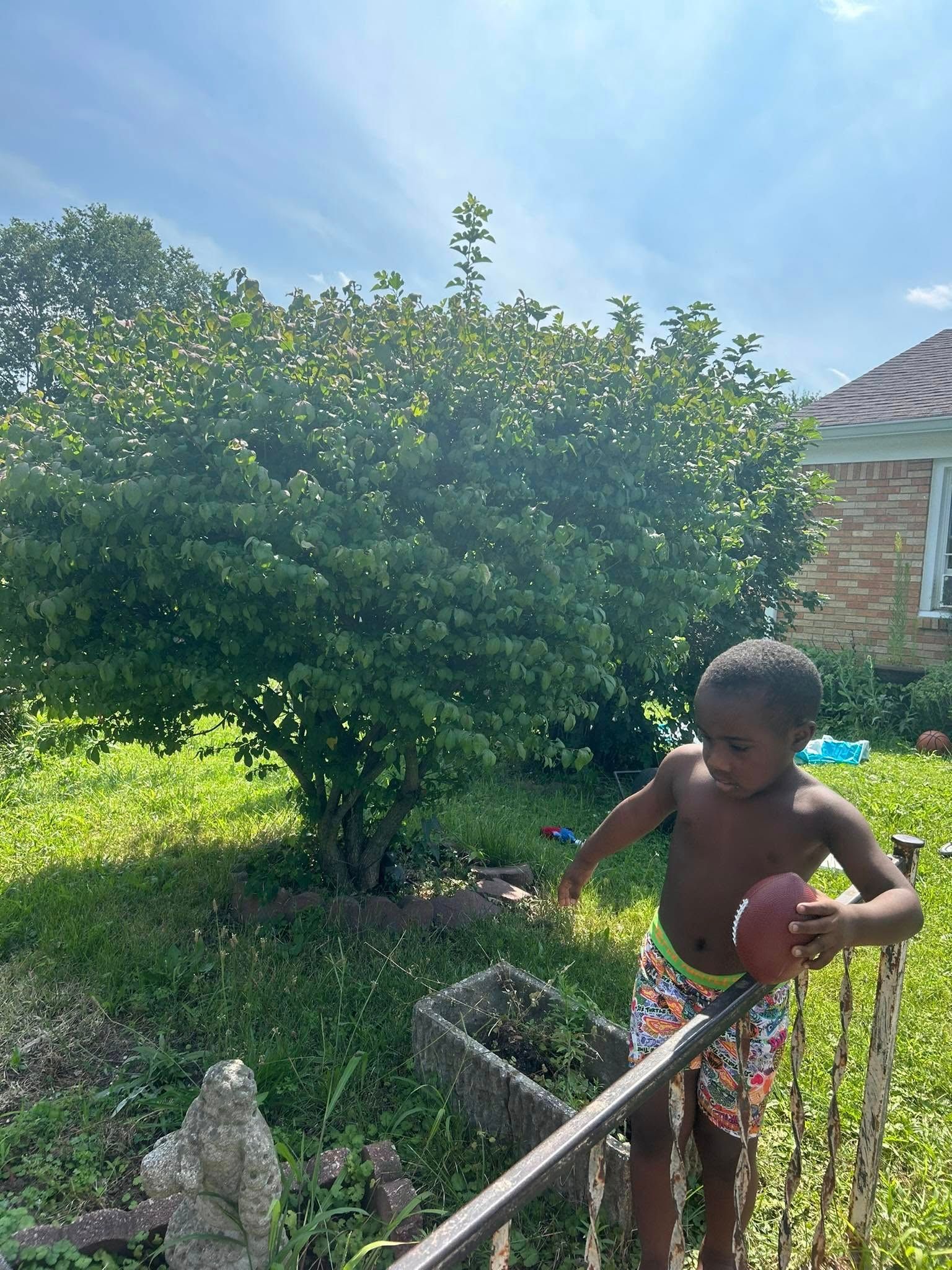  for Plenty Landscaping Solutions in Indianapolis, IN