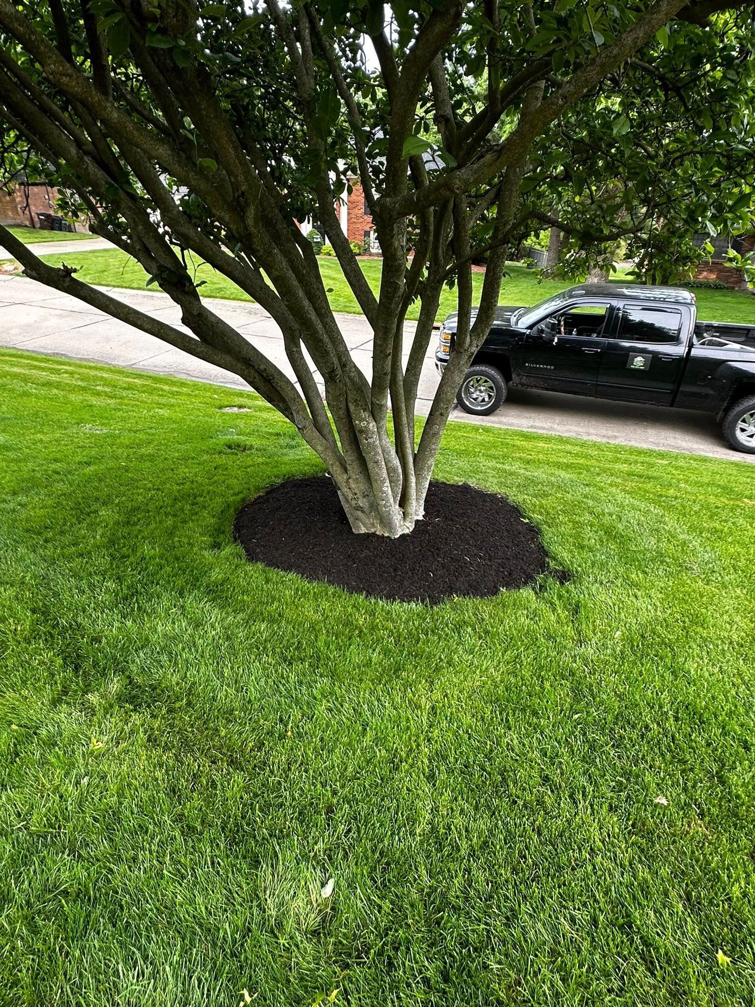 All Photos for A&H Property Solutions LLC in Florence, KY