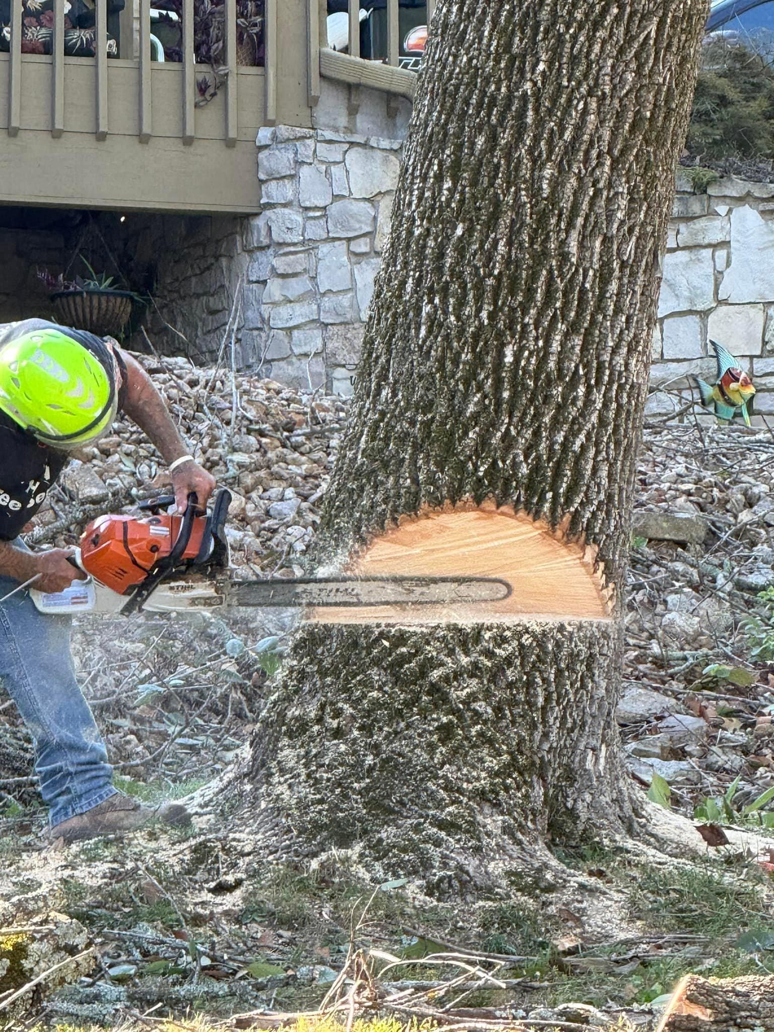  for H n H Tree Service in Taneyville, MO