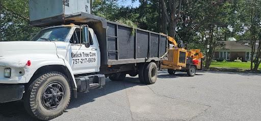  for Beach Tree Care in Virginia Beach, VA