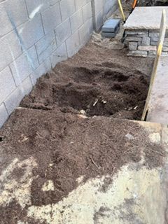  for Patriot Tree Service in Mesa, AZ