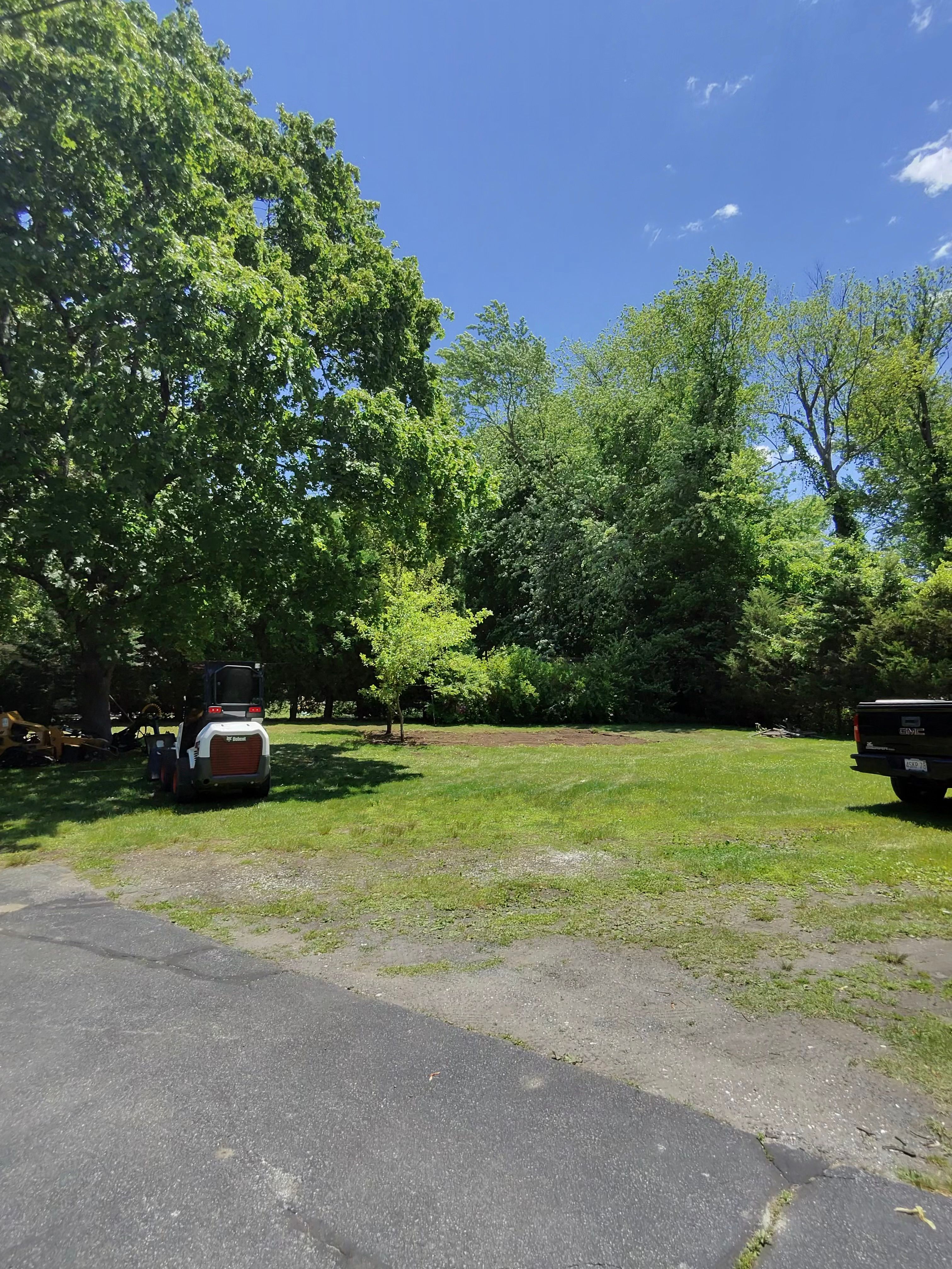  for Powell Tree Service Inc.  in Cape Cod, MA