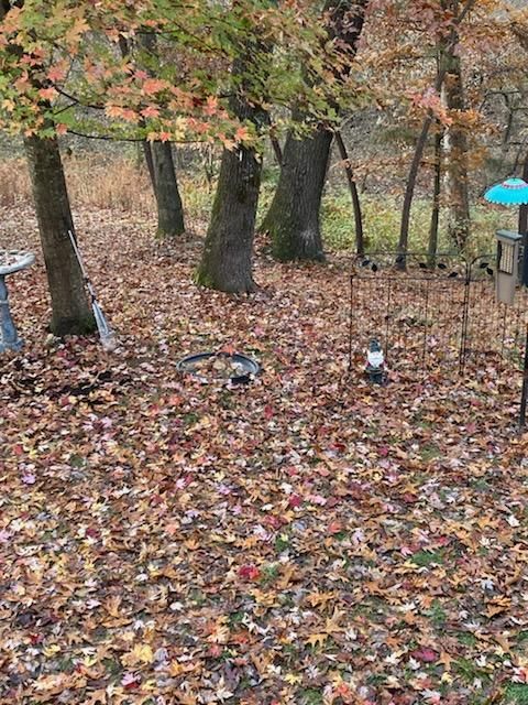  for Pureleaf Lawncare LLC in Springdale, AR