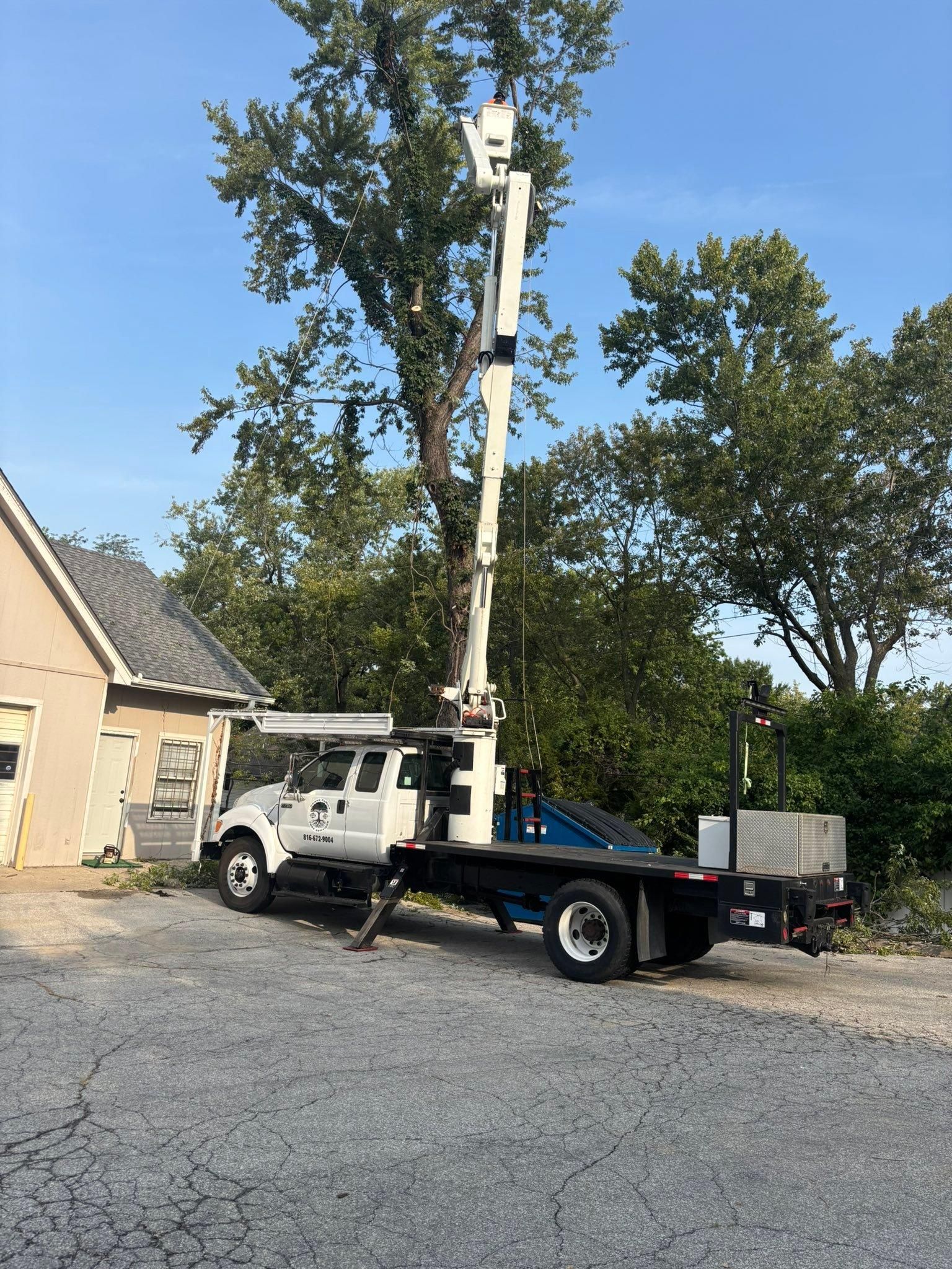 All Photos for Cross Family Tree Service in Kearney, MO