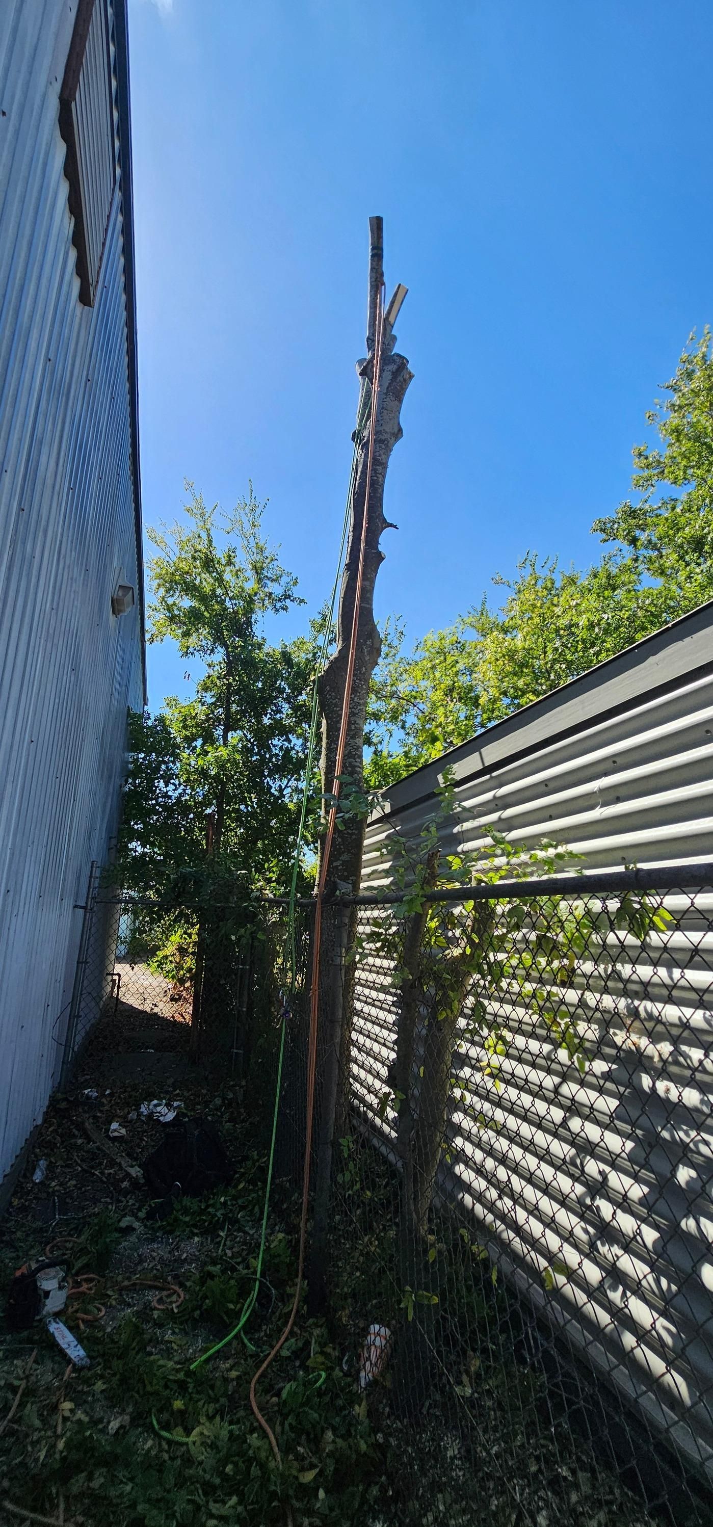  for Servin's Tree Care  in Houston, TX