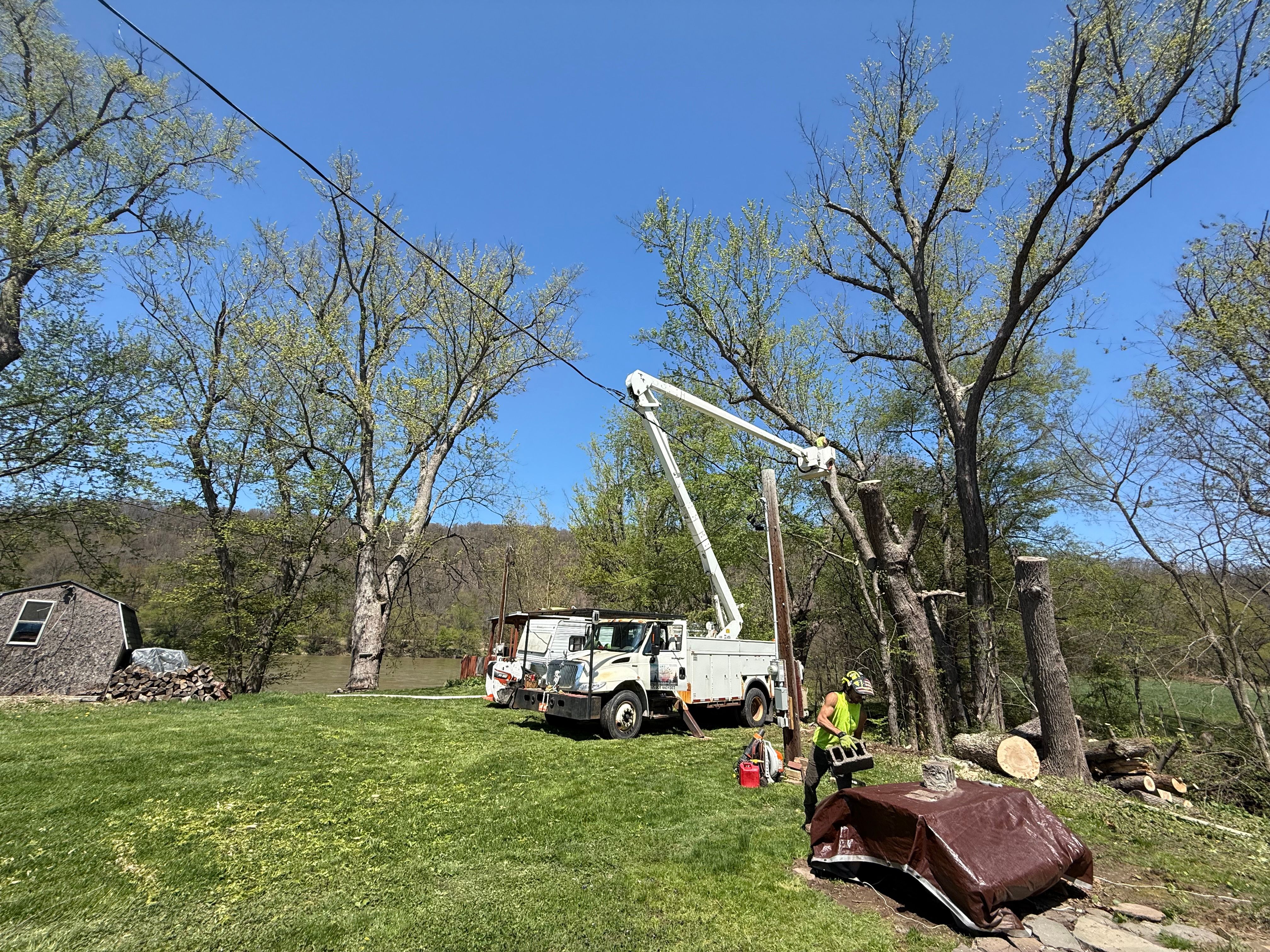  for All American Tree Services LLC in Back Mountain, PA