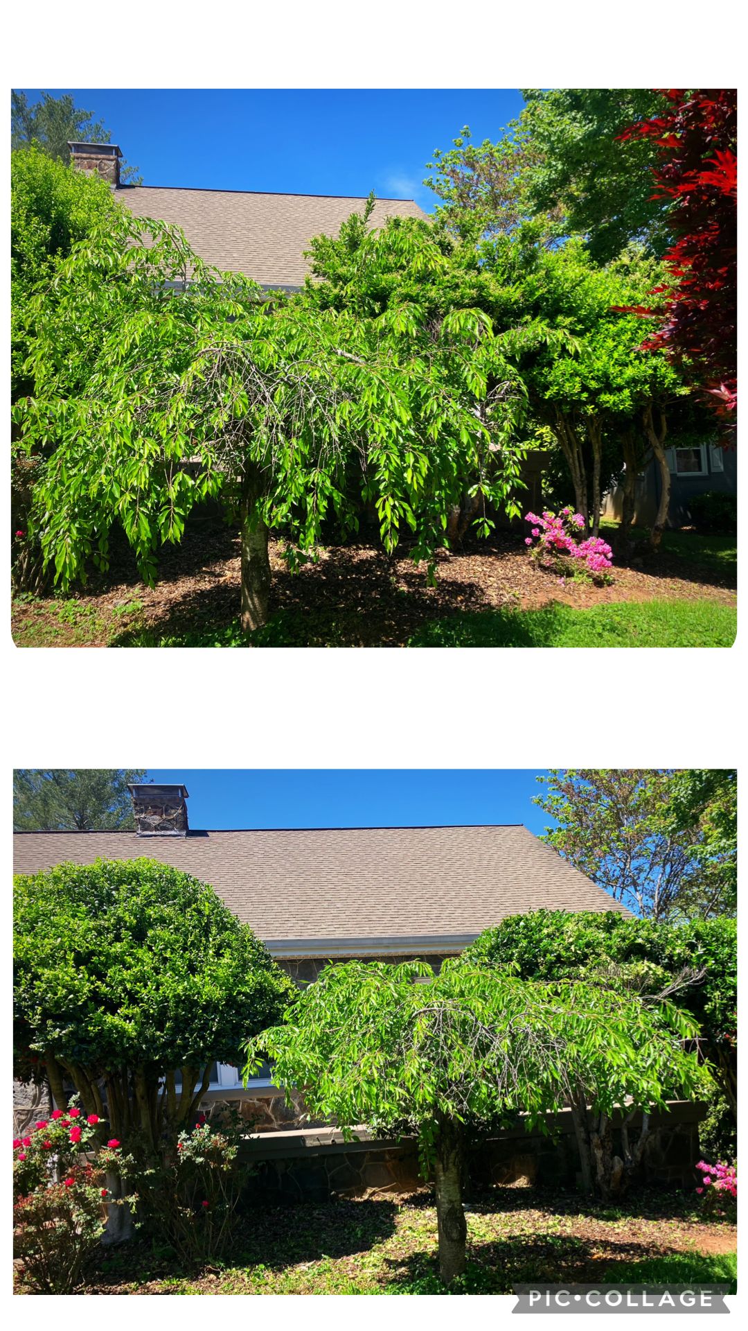 All Photos for Stick’s Paint & Garden Maintenance in Morganton, NC