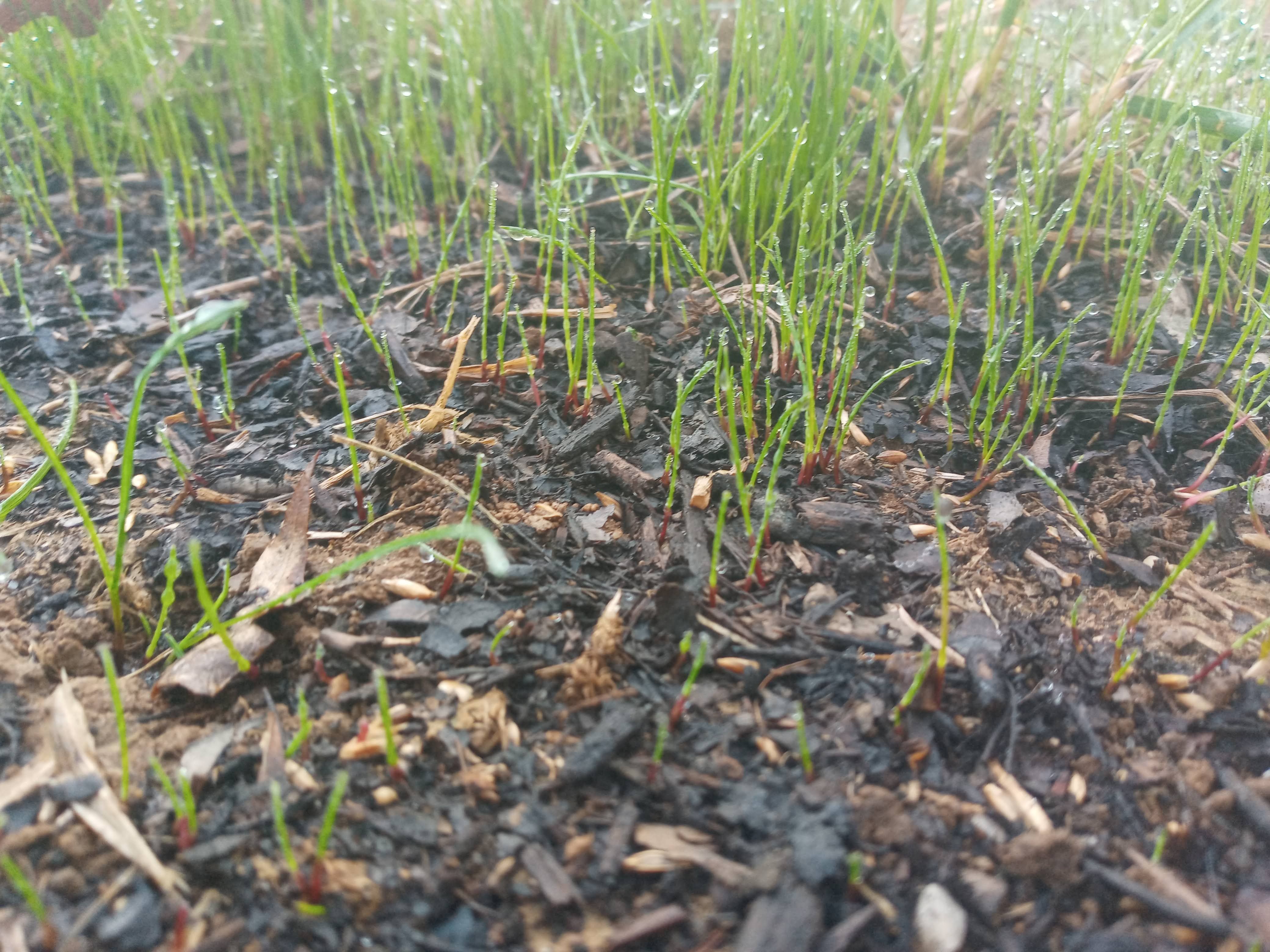  for Sam I AM Property Solutions in Sunderland, MD