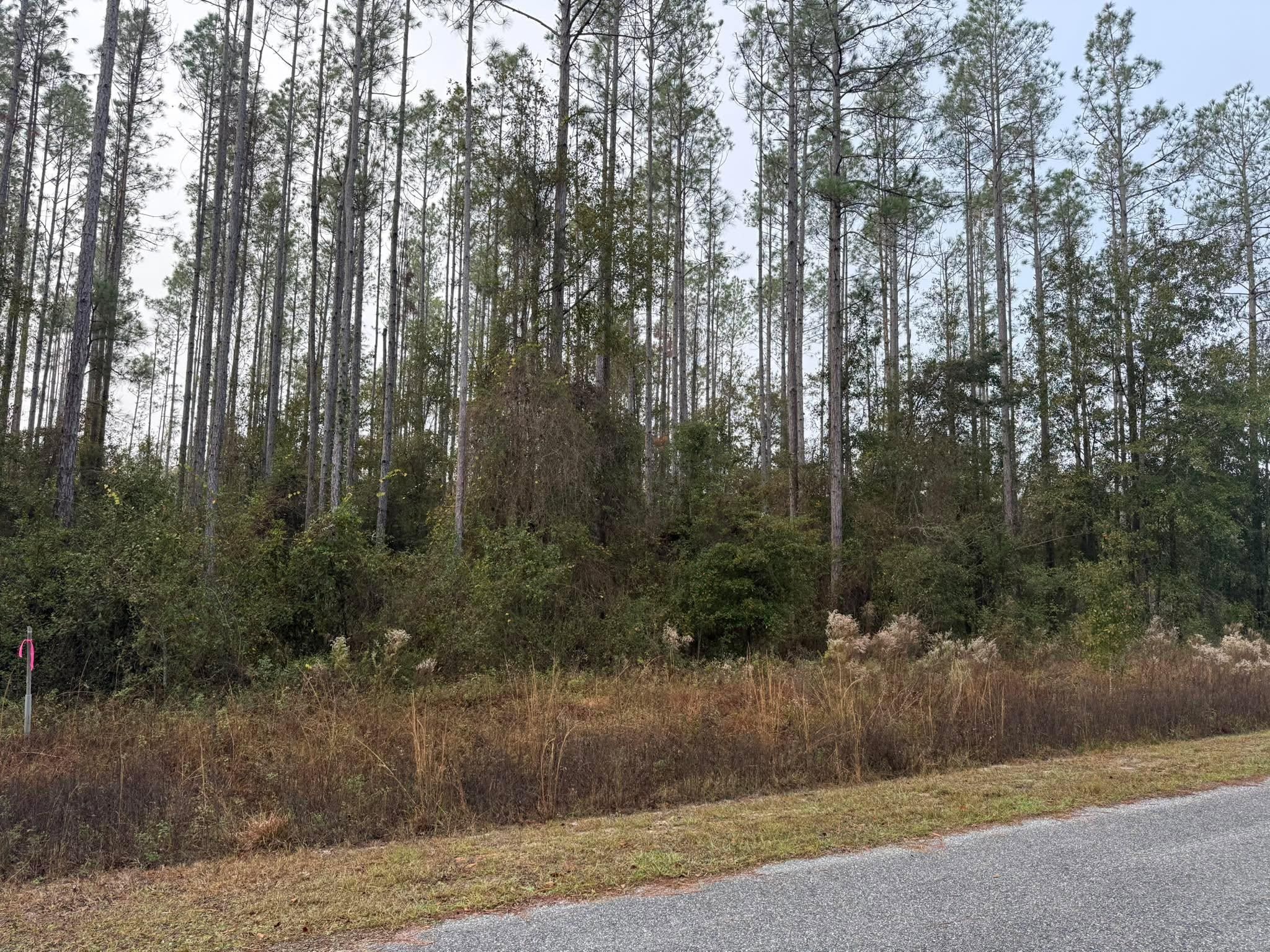  for C&C Excavating in Live Oak, FL