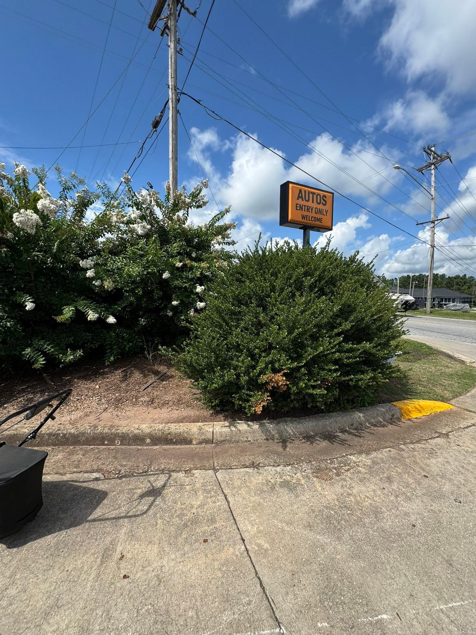  for Thin Green Line Landscaping & More in Laurens, SC