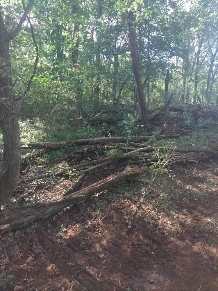 All Photos for King of Dirt in Cornersville, TN