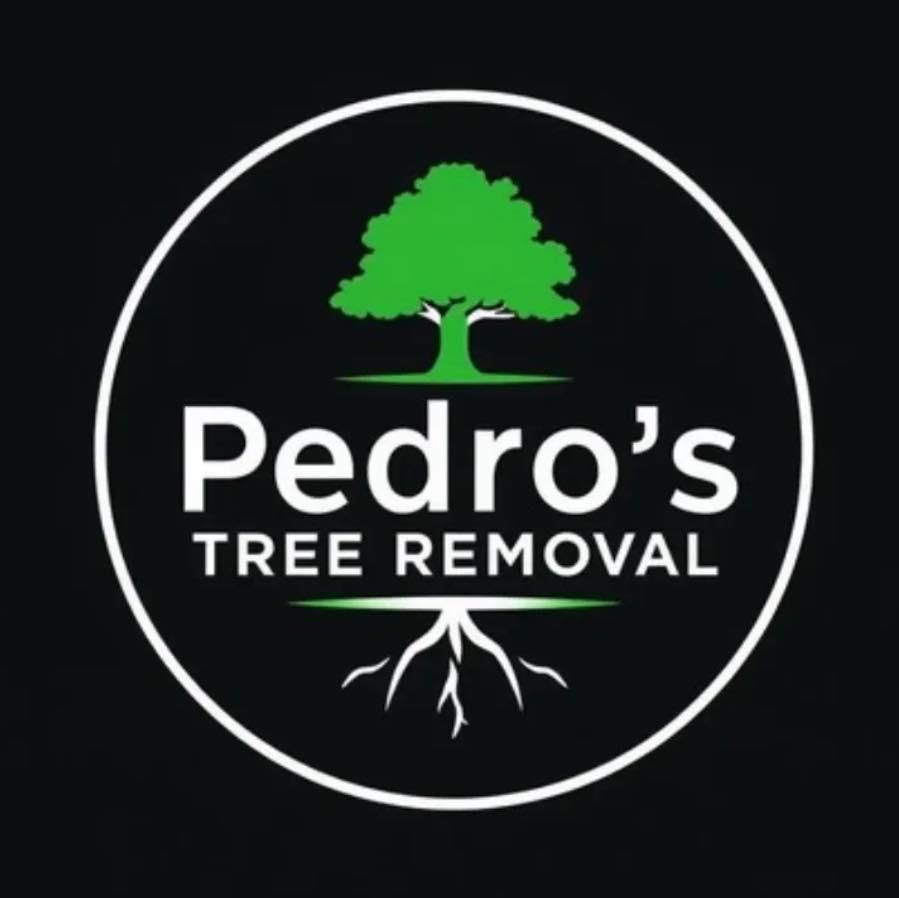  for Pedro's Tree Removal in Charlotte, NC
