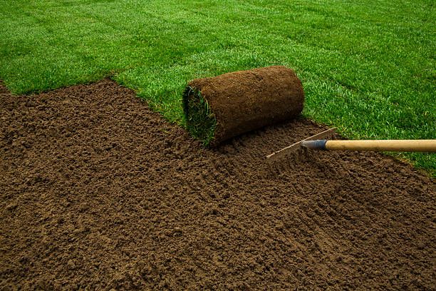 Lawn Maintenance for Morning Dew Landscaping Services in  Marlboro, NY