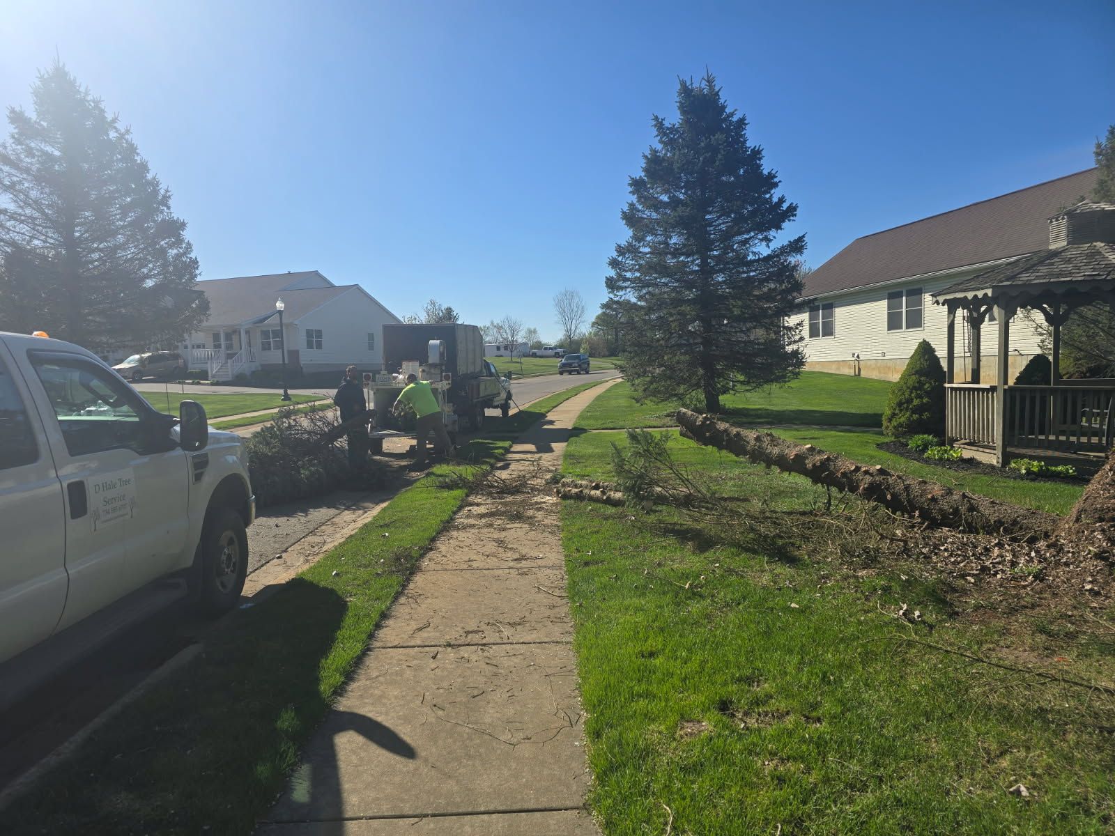  for D Hale Tree Service in Dexter, MI