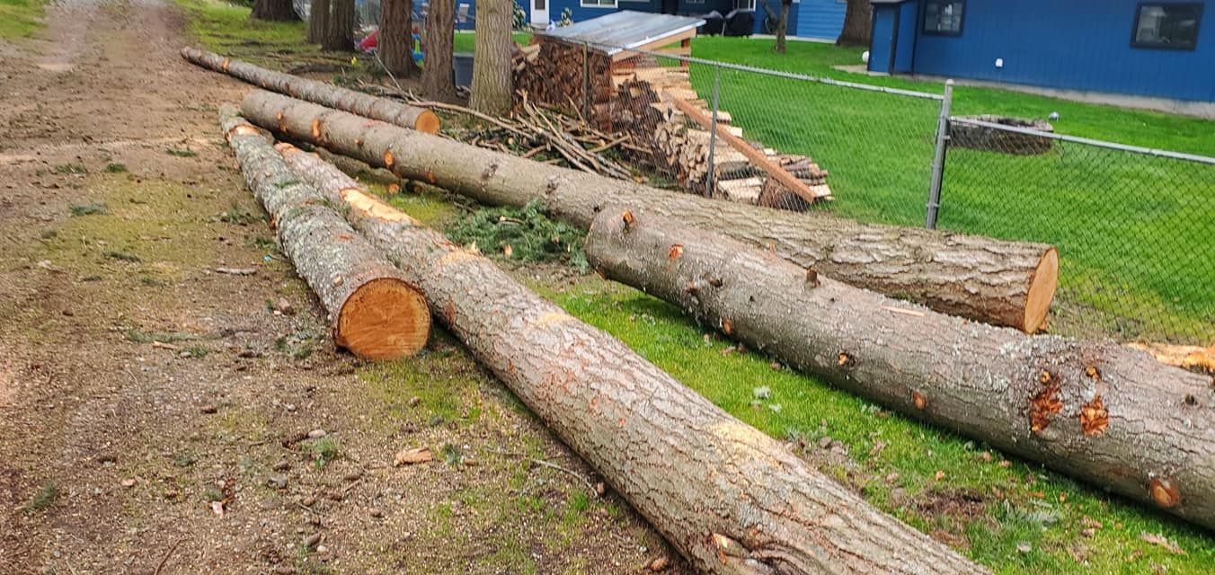 Tree Removal for A&J WA Tree Services in Kent, WA