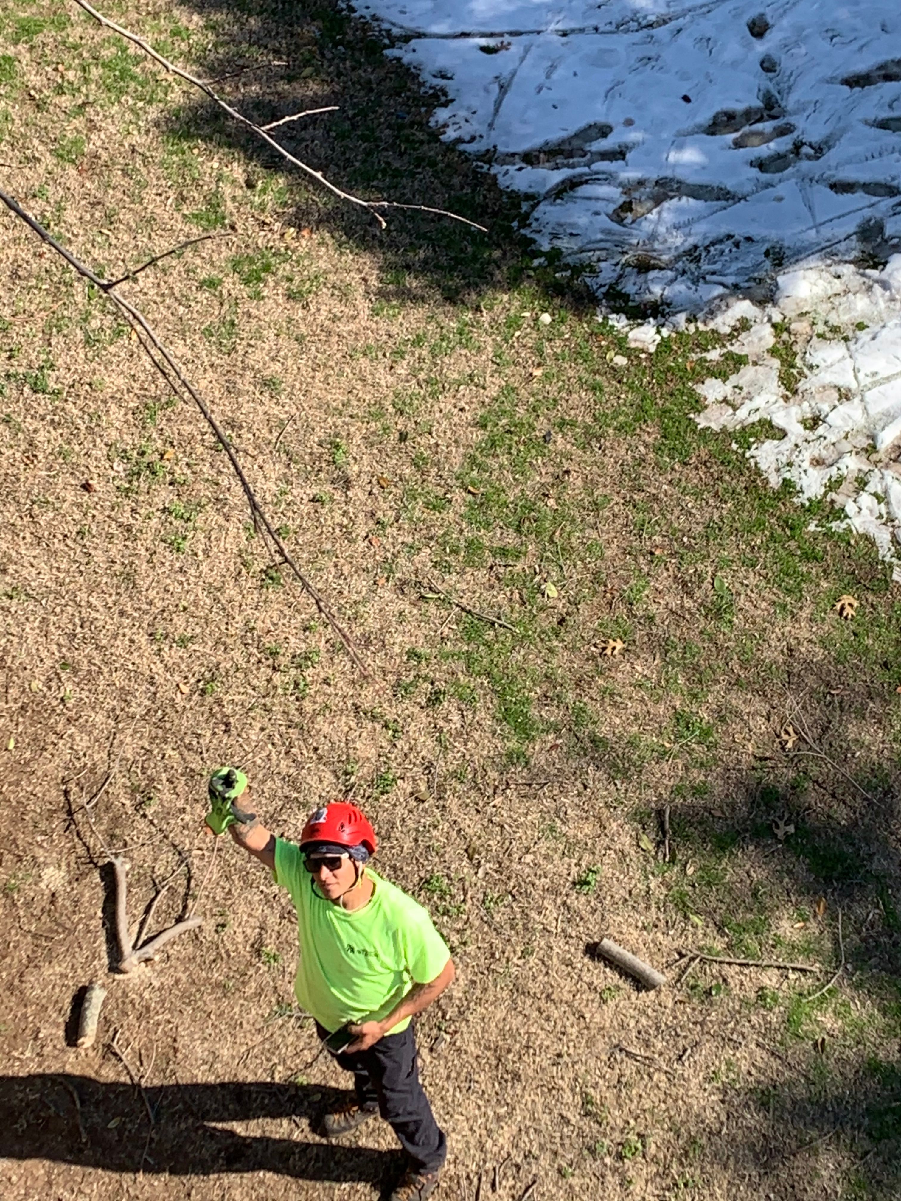  for TLC Professional Tree Service in Bedford, TX