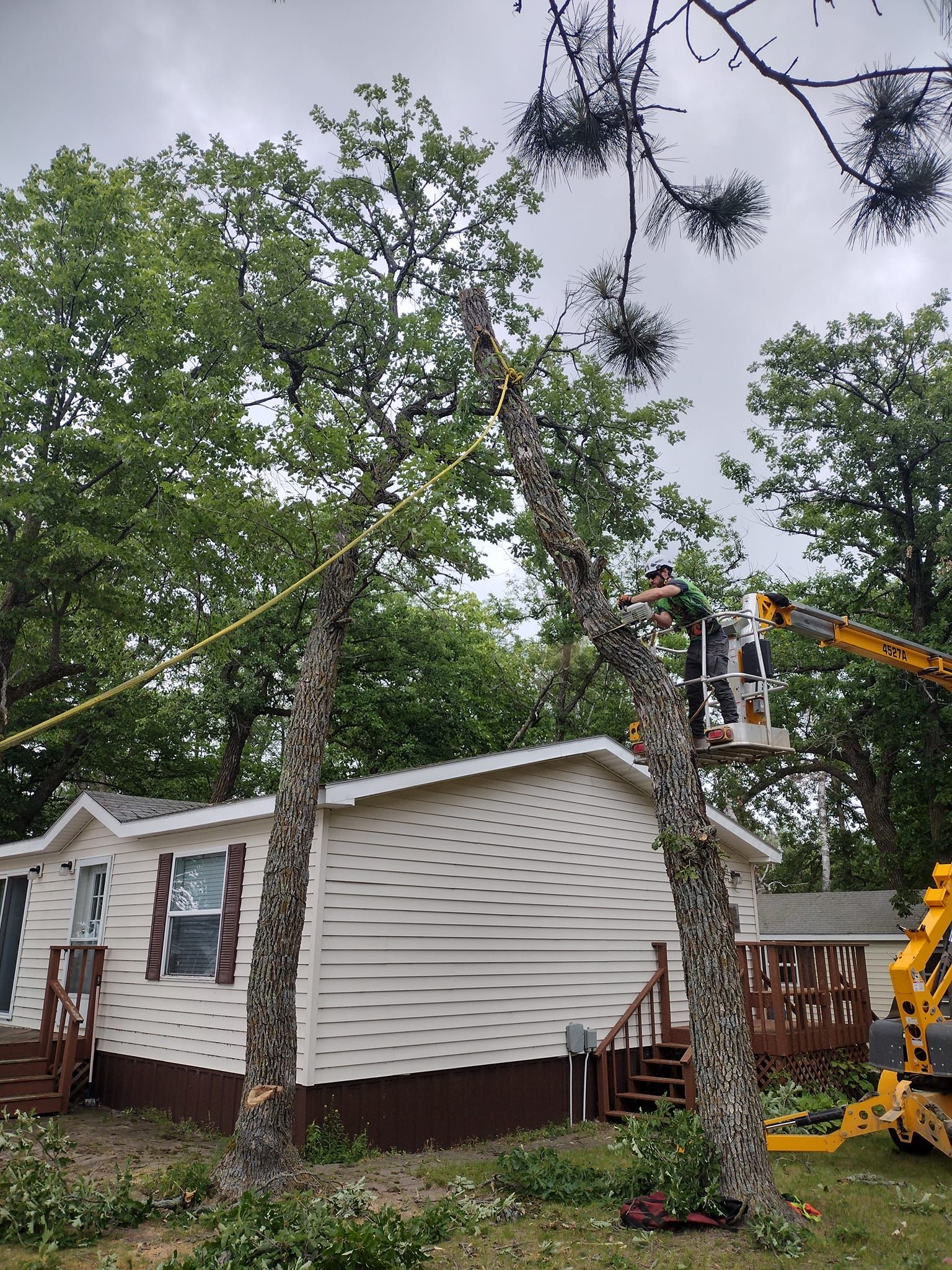  for Dan's Tree Service LLC in Bemidji, MN