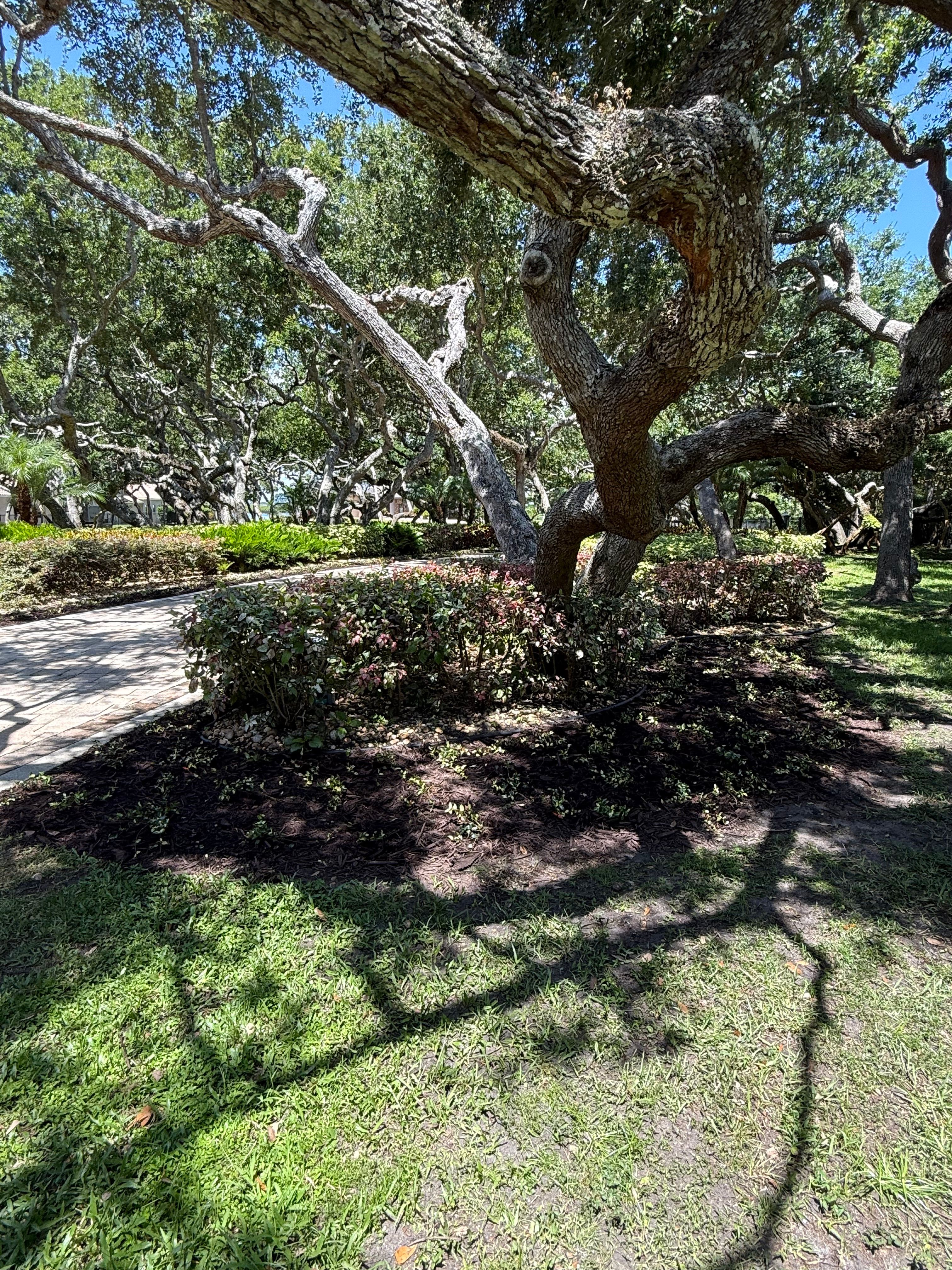  for Vanic's Landscaping in Port Orange, FL