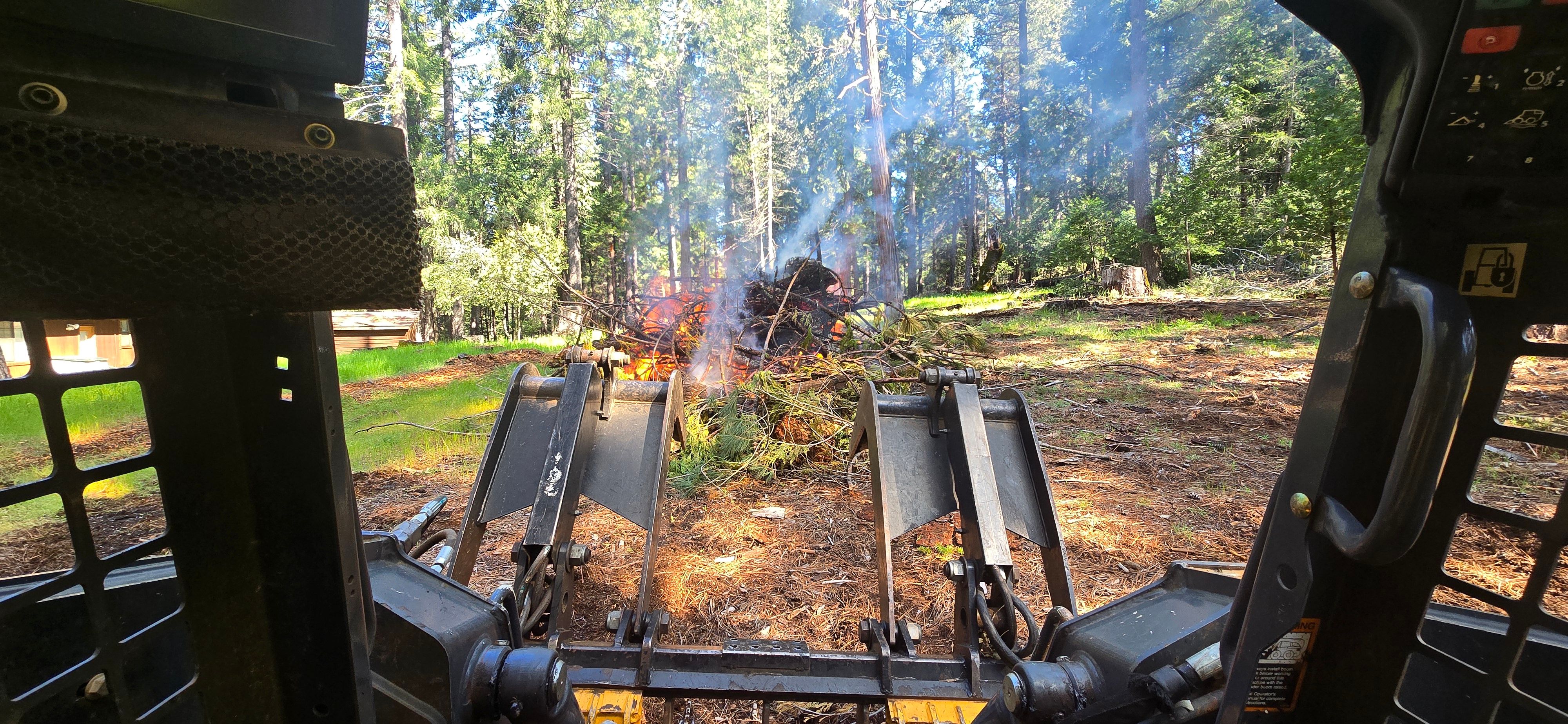  for George Staddan's Professional Tree Care in Placerville, CA