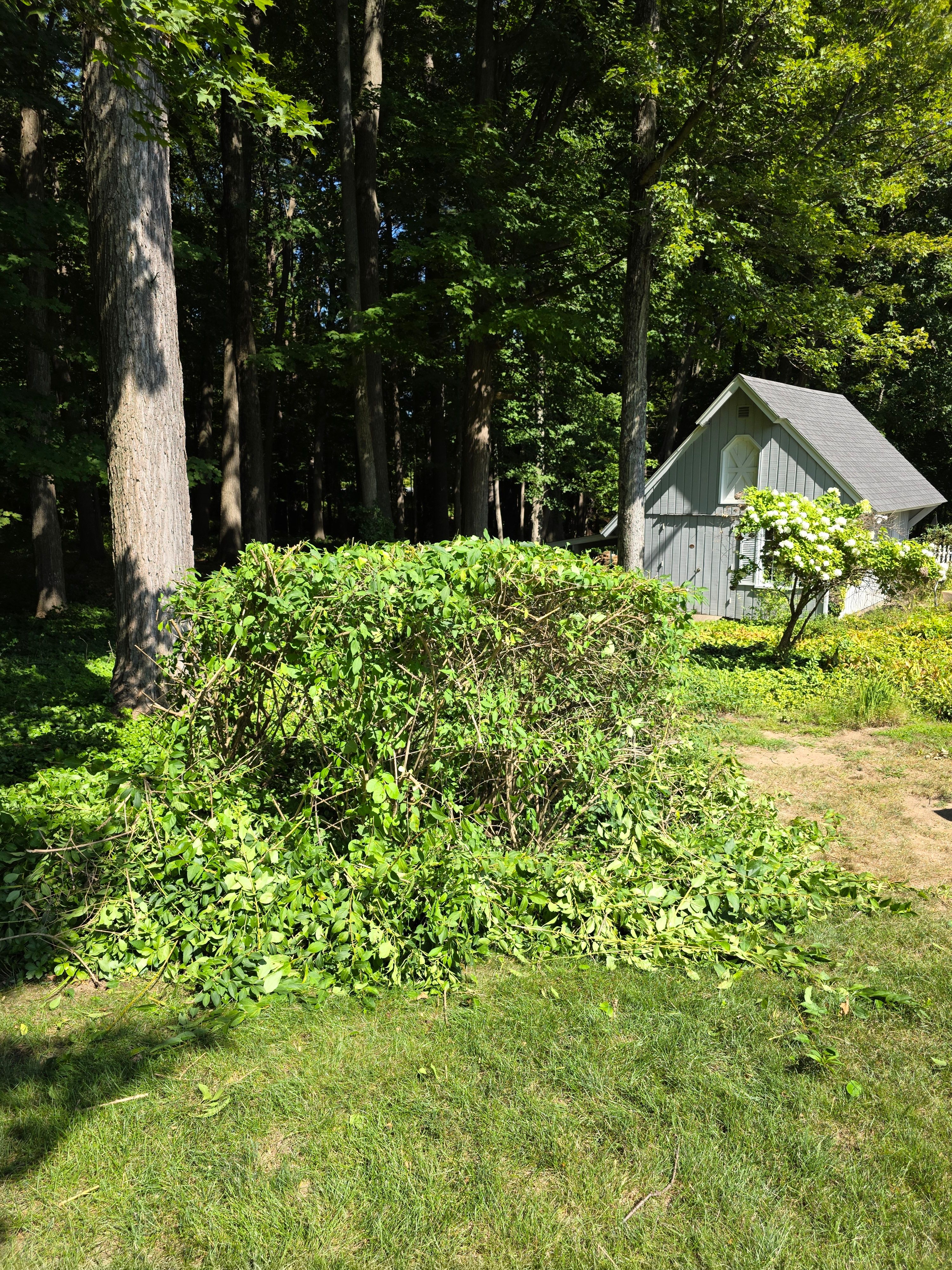  for Sweet Scapes in Ballston Spa, NY