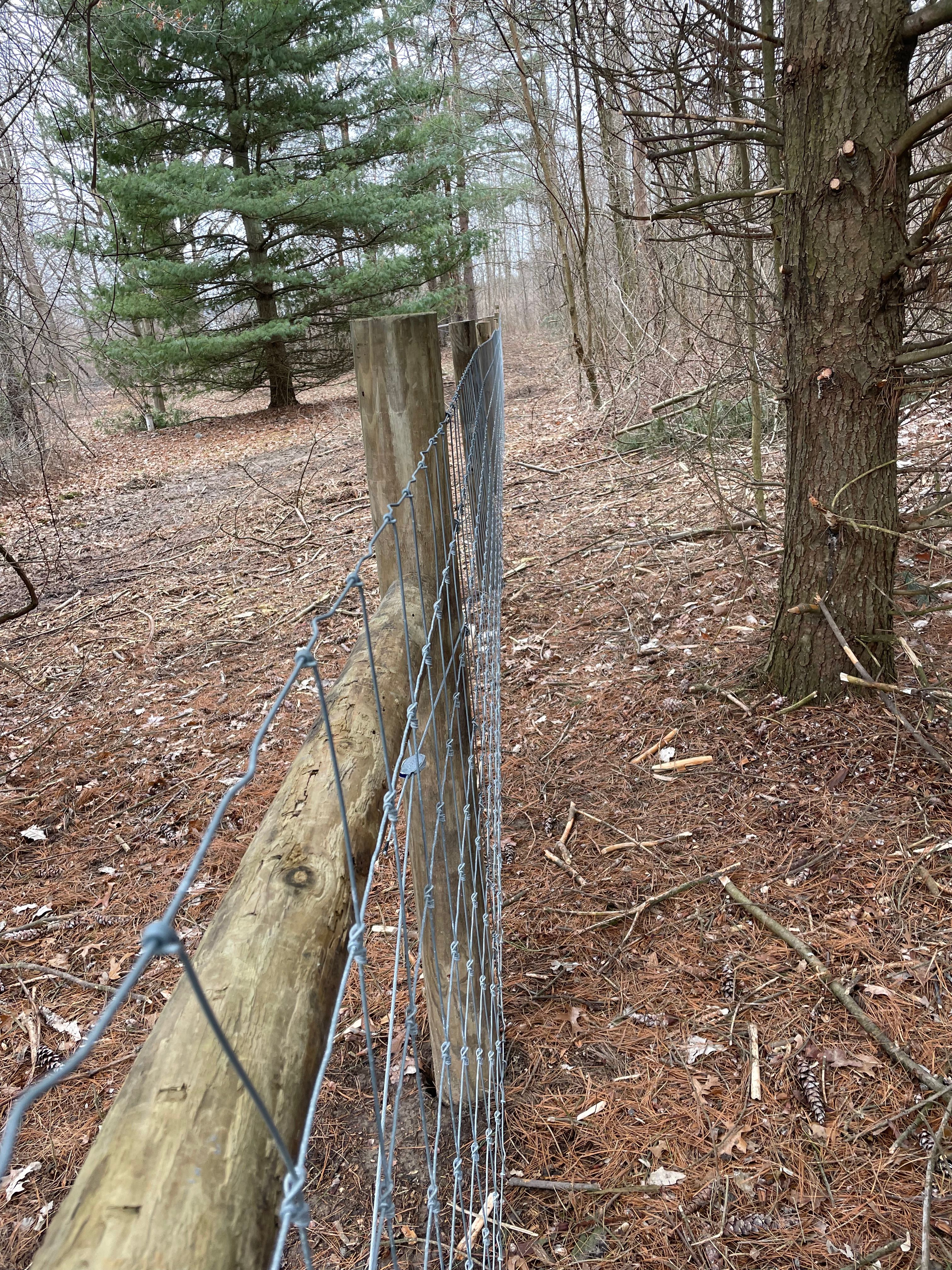  for TMF Services in Lapeer County, MI