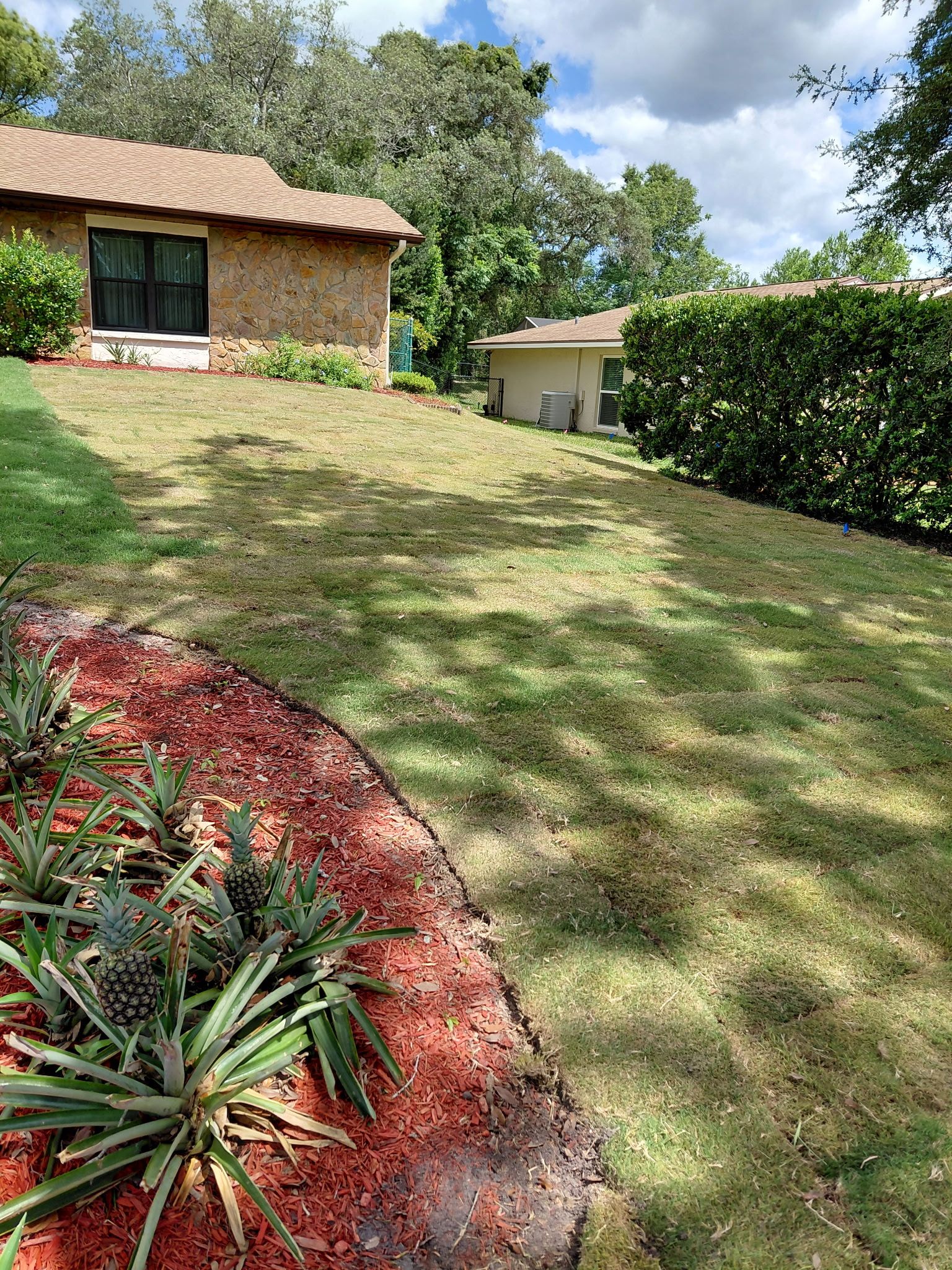  for Gulf Bay Sod in Clearwater, FL