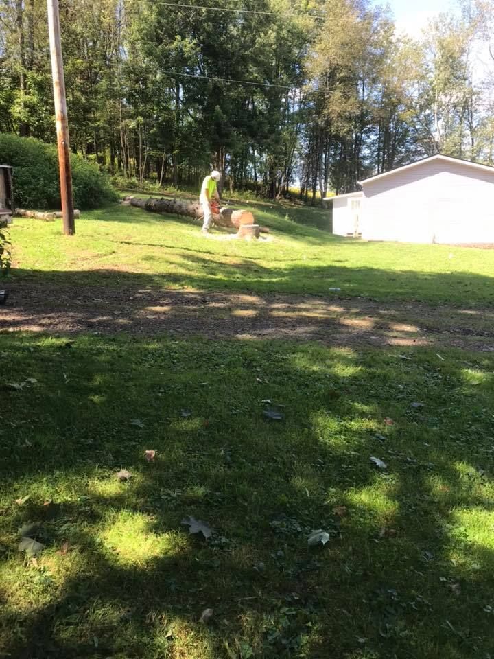  for Mad Tree Service in Cochranton, PA