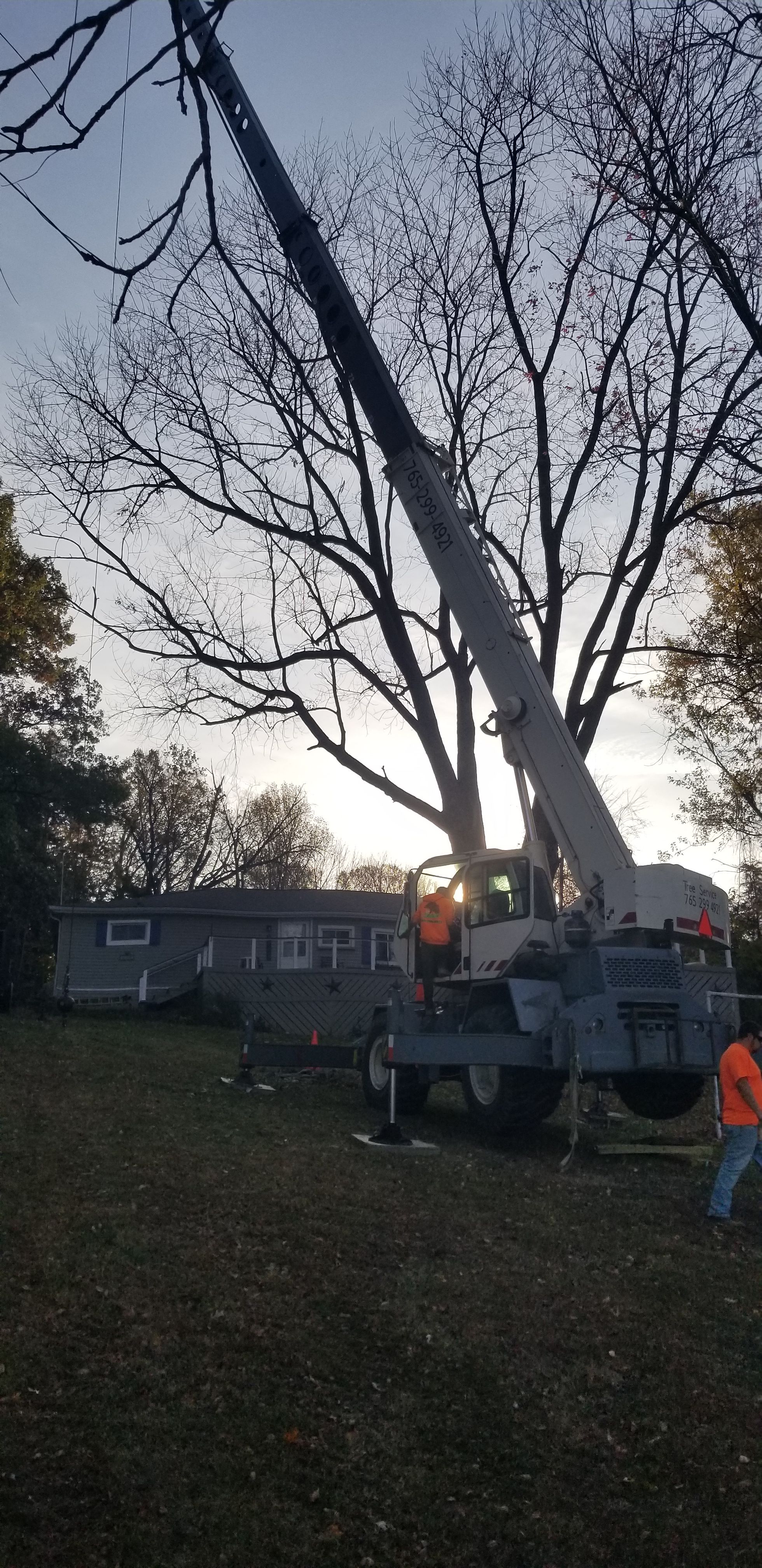  for Advanced Tree Solutions in Rockville, IN