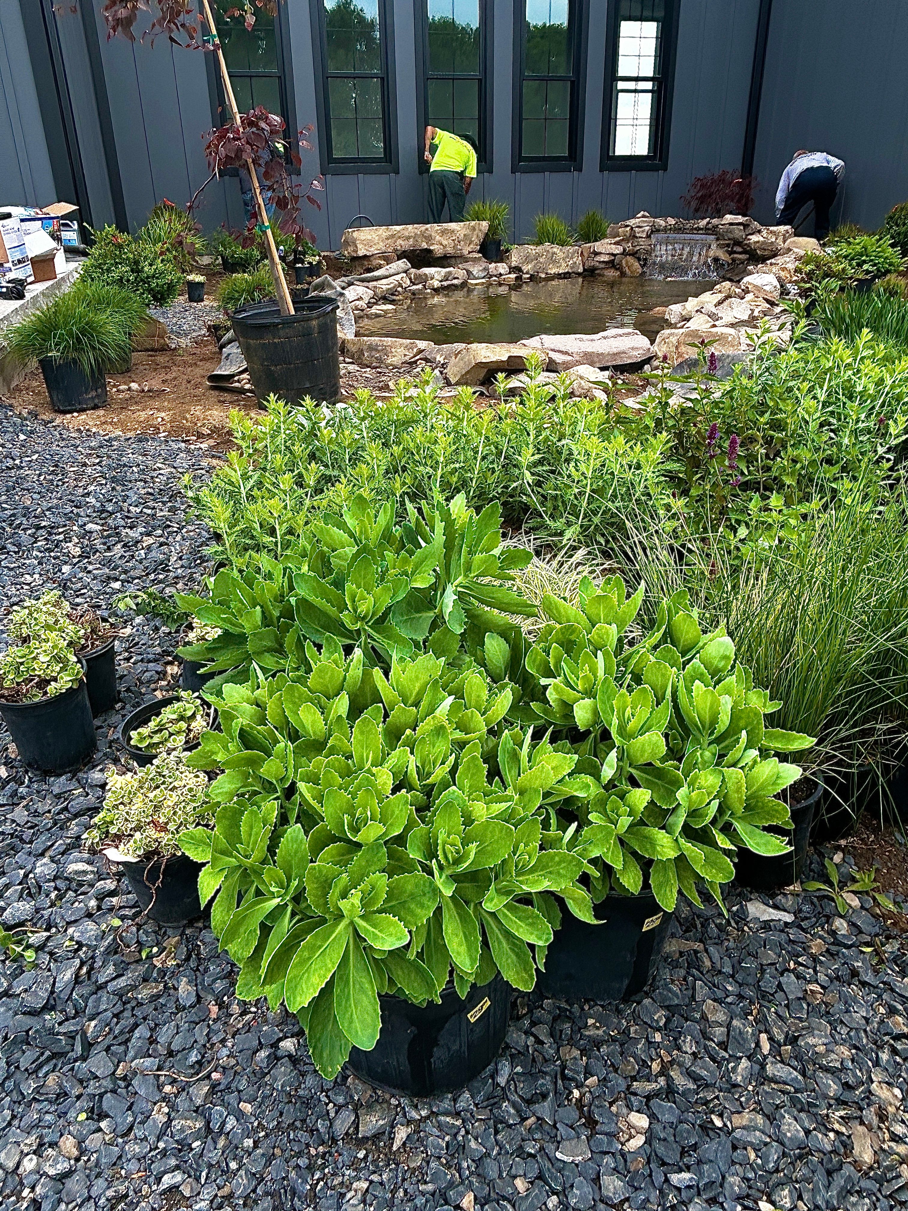  for Tony Monaco Landscaping Inc. in Orange County, NY