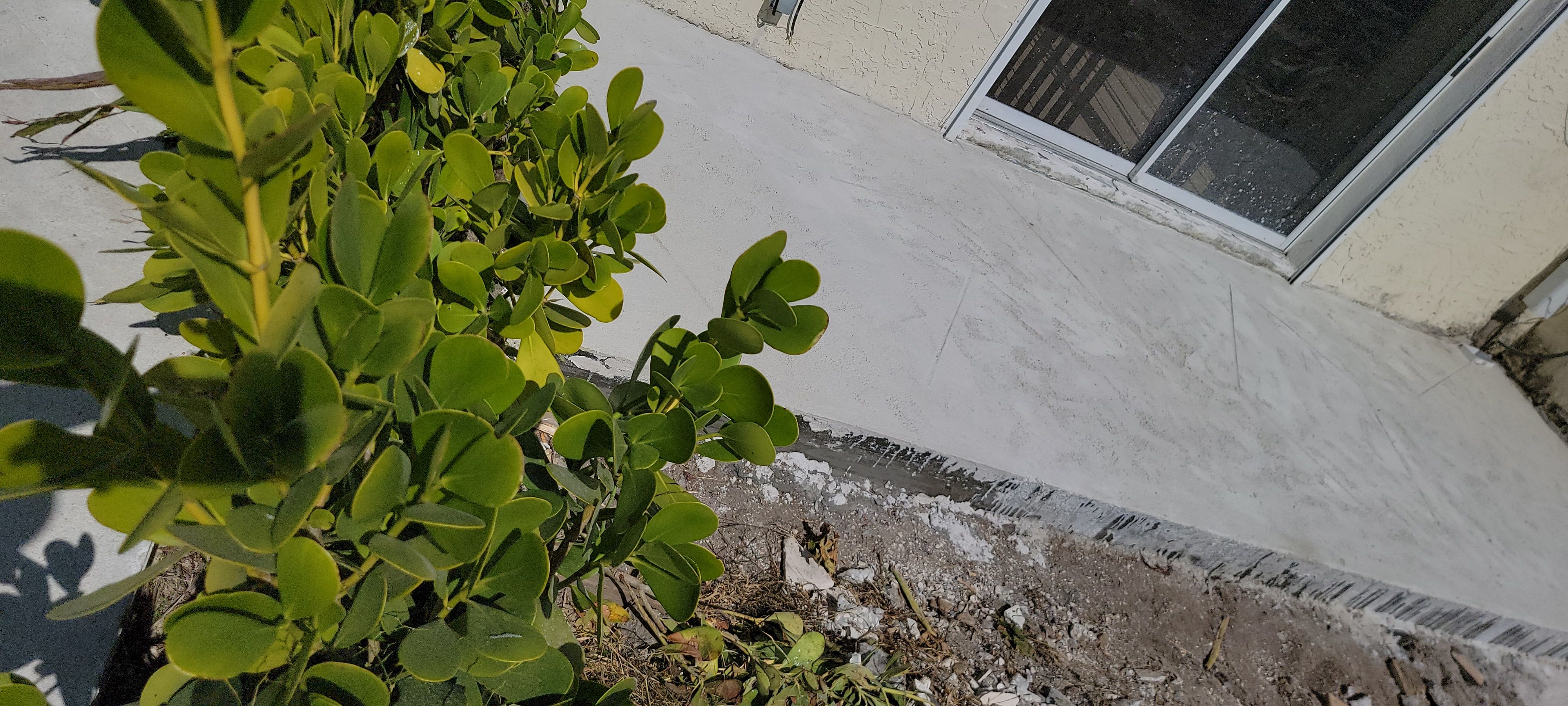  for Millenium Construction & Property Management in Tampa, FL