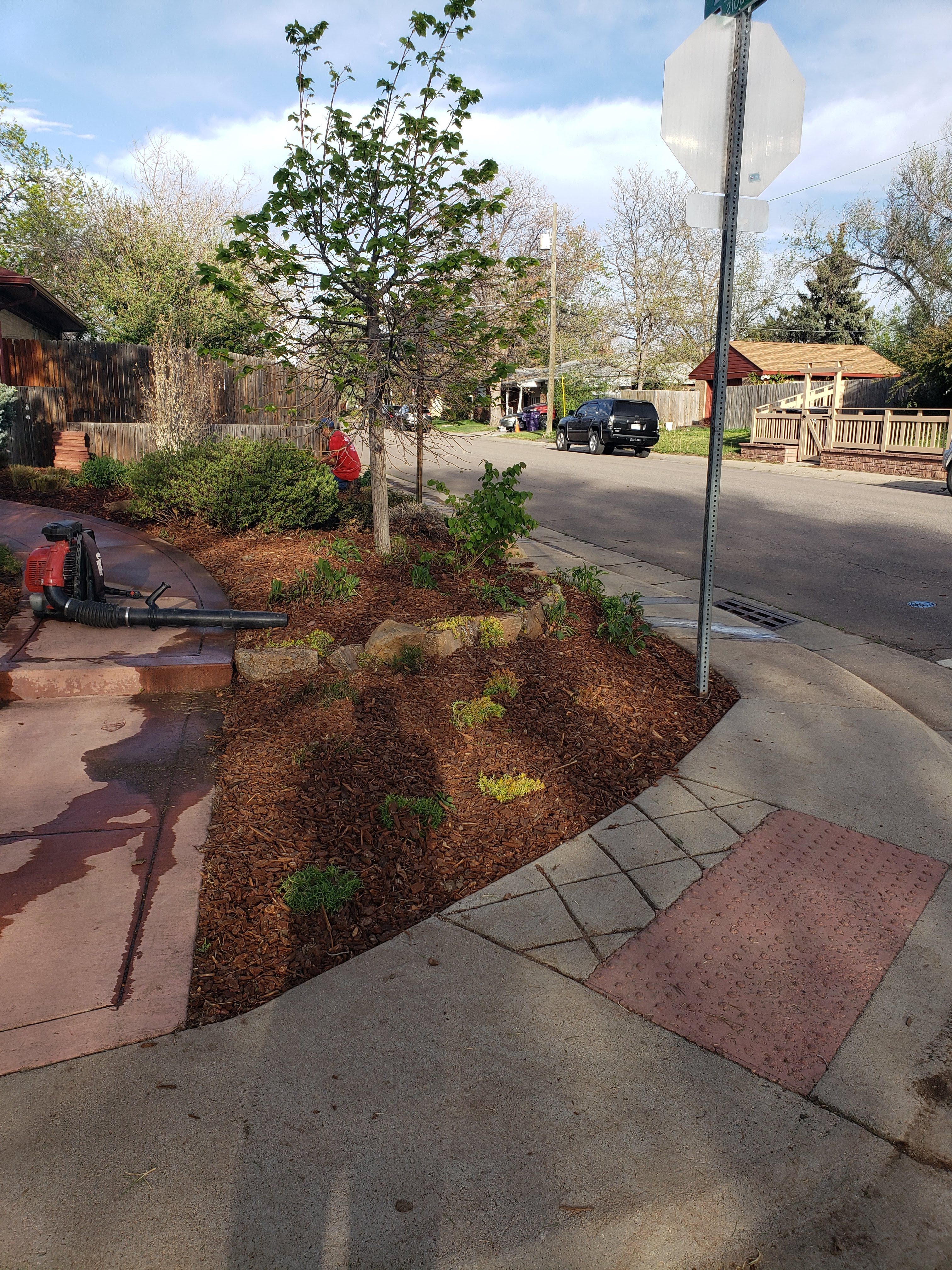  for JS Landscaping Colorado in Denver, CO