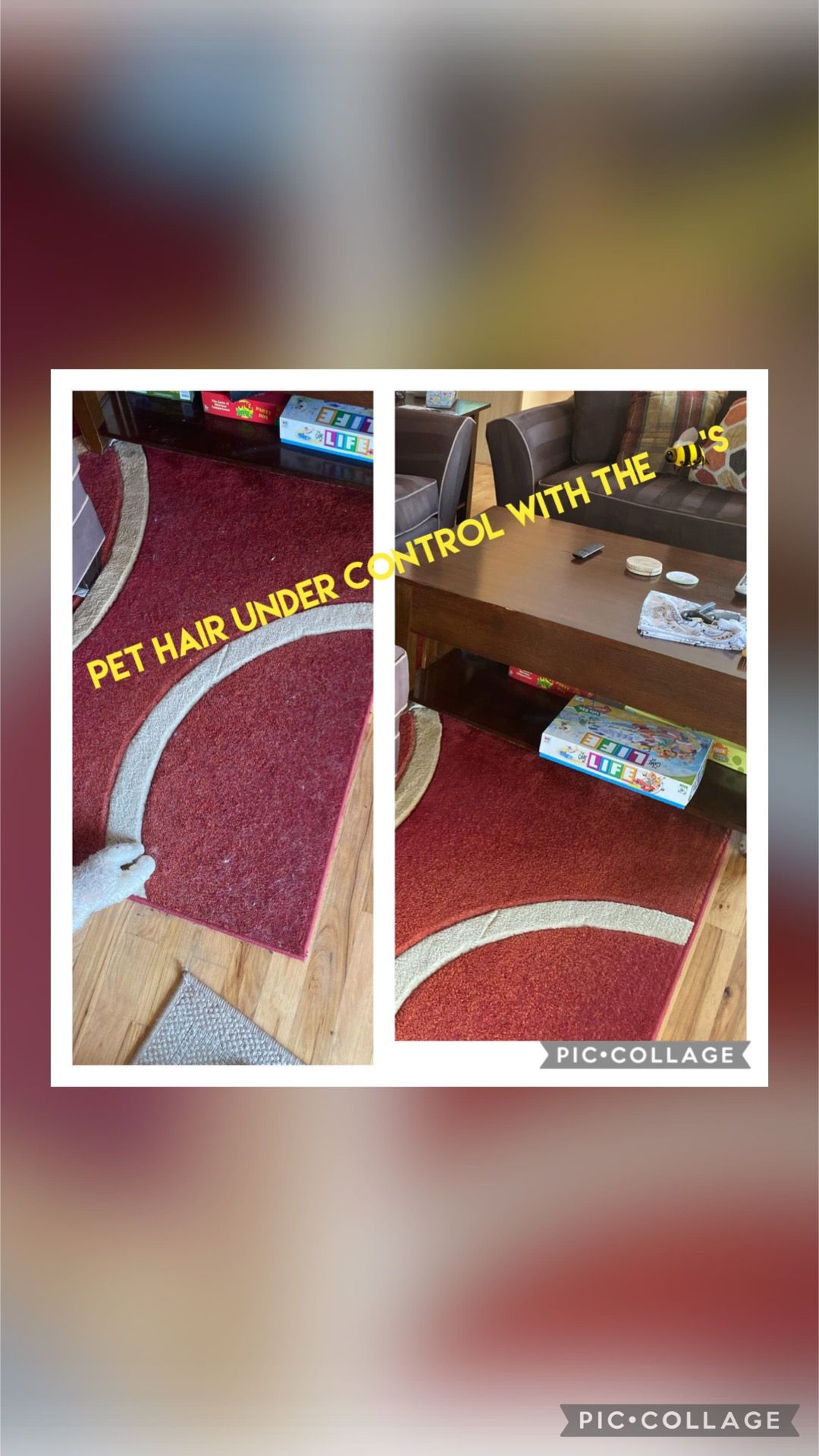 All Photos for Busy B's Professional Cleaning in Birch Run, MI