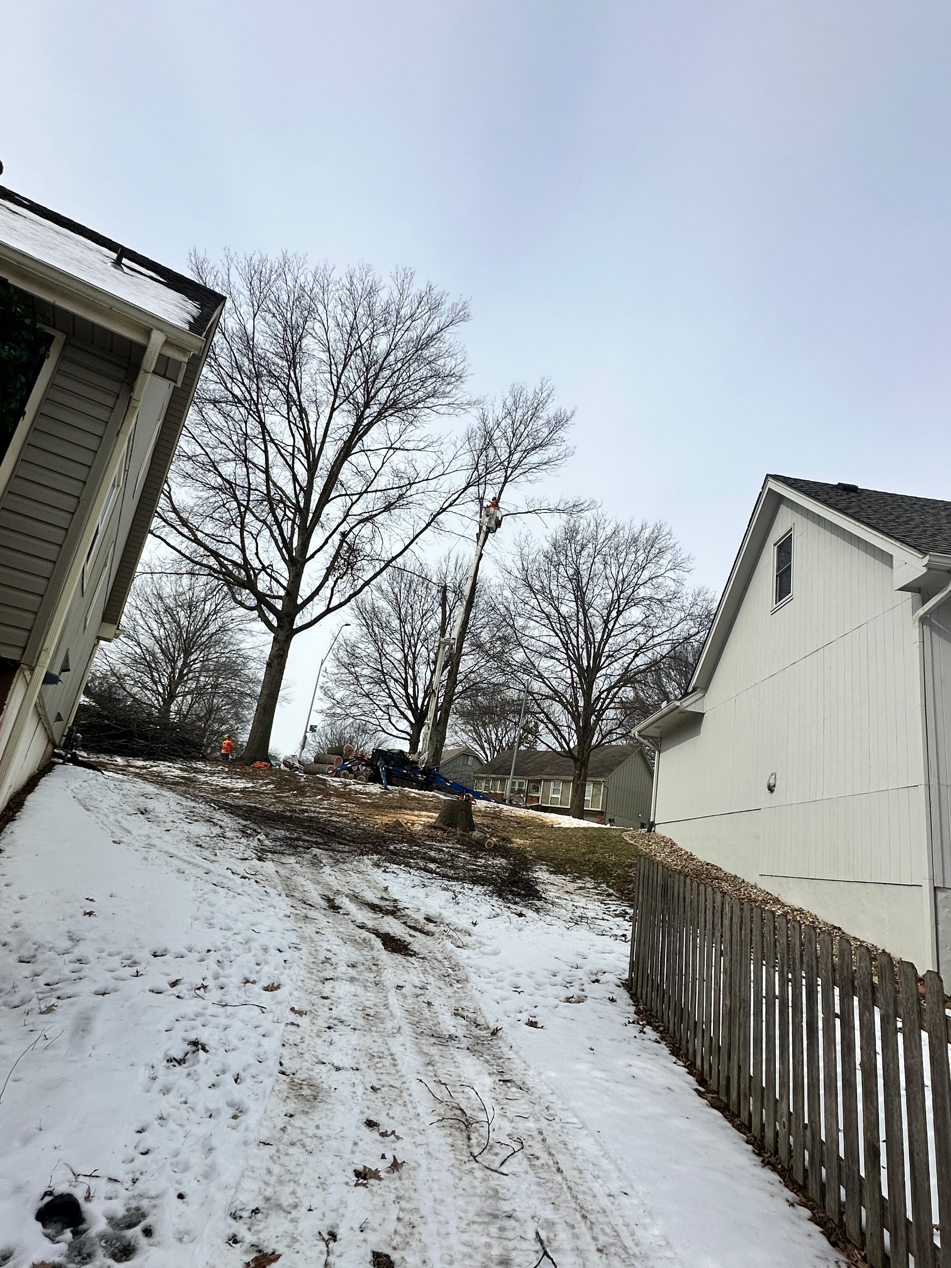 All Photos for Cross Family Tree Service in Kearney, MO