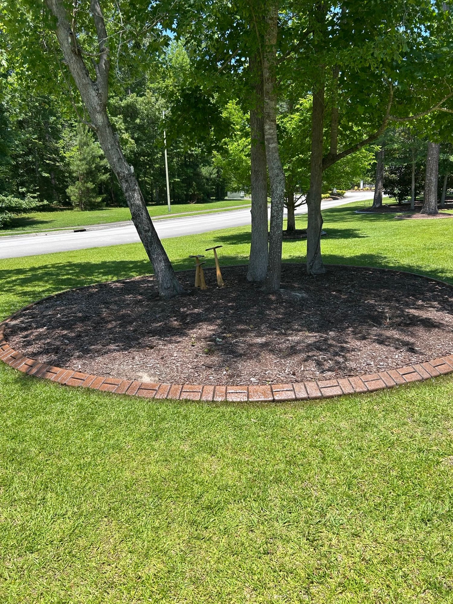  for Professional Edge in Deep Run, NC