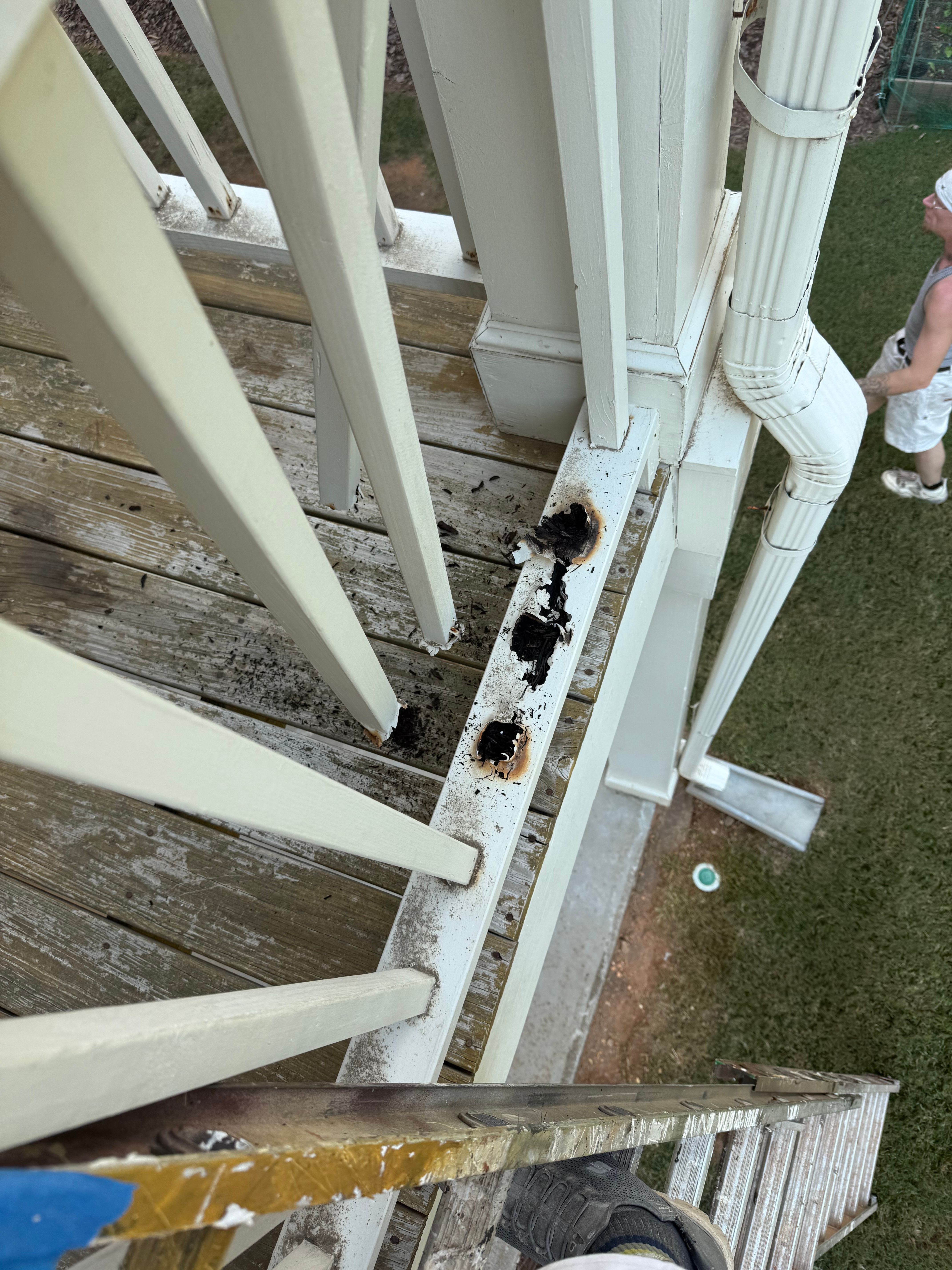  for A1 Phillips Painting in Cumming, GA