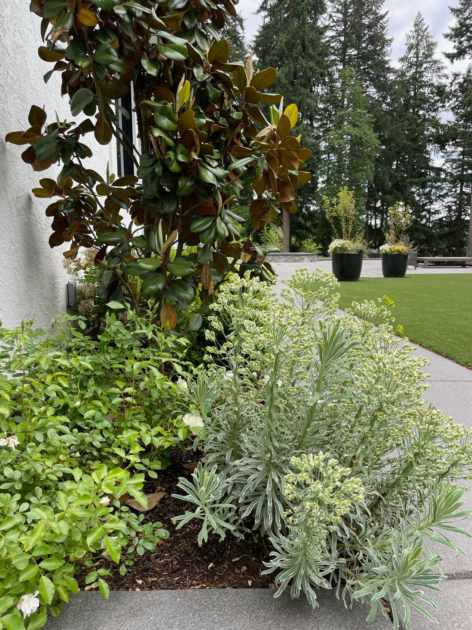  for Courtney Lewis Landscape Design in Portland, OR