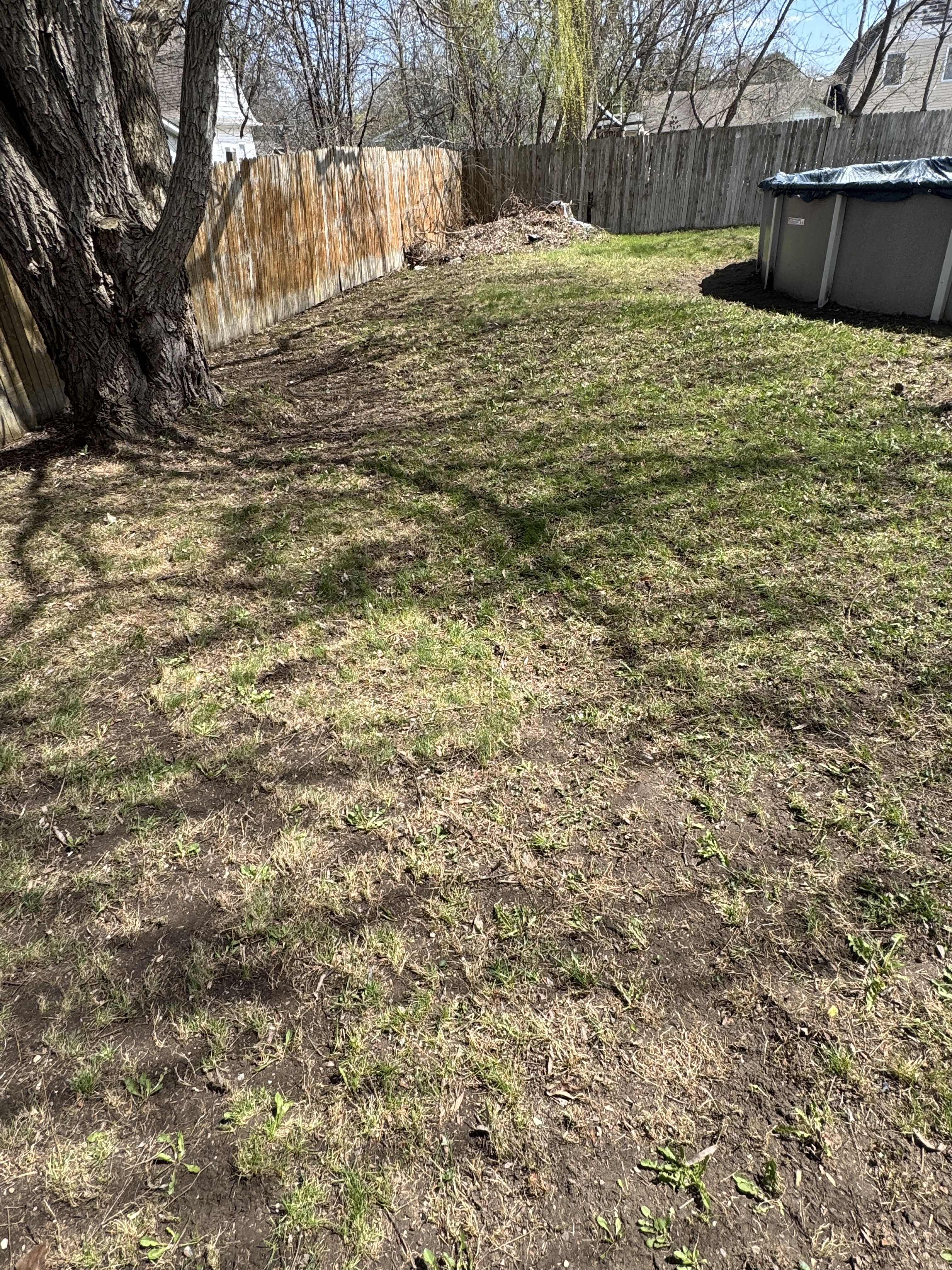  for Daugherty's Tough Lawn Care in Essexville, MI